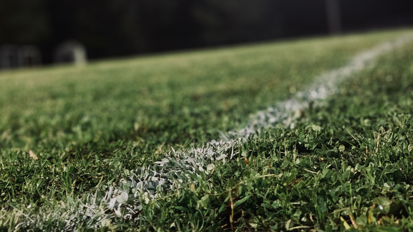 Close-up of a grassy sports field with a white line markings, captured during daytime.