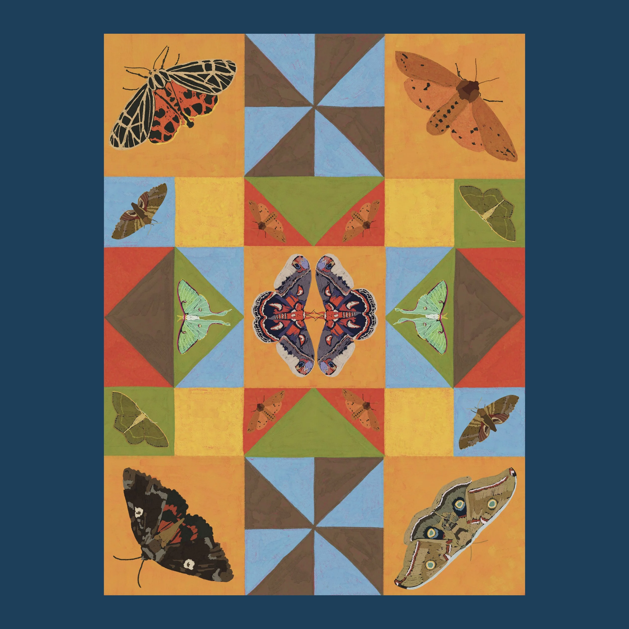 Minnow Magazine Illustration