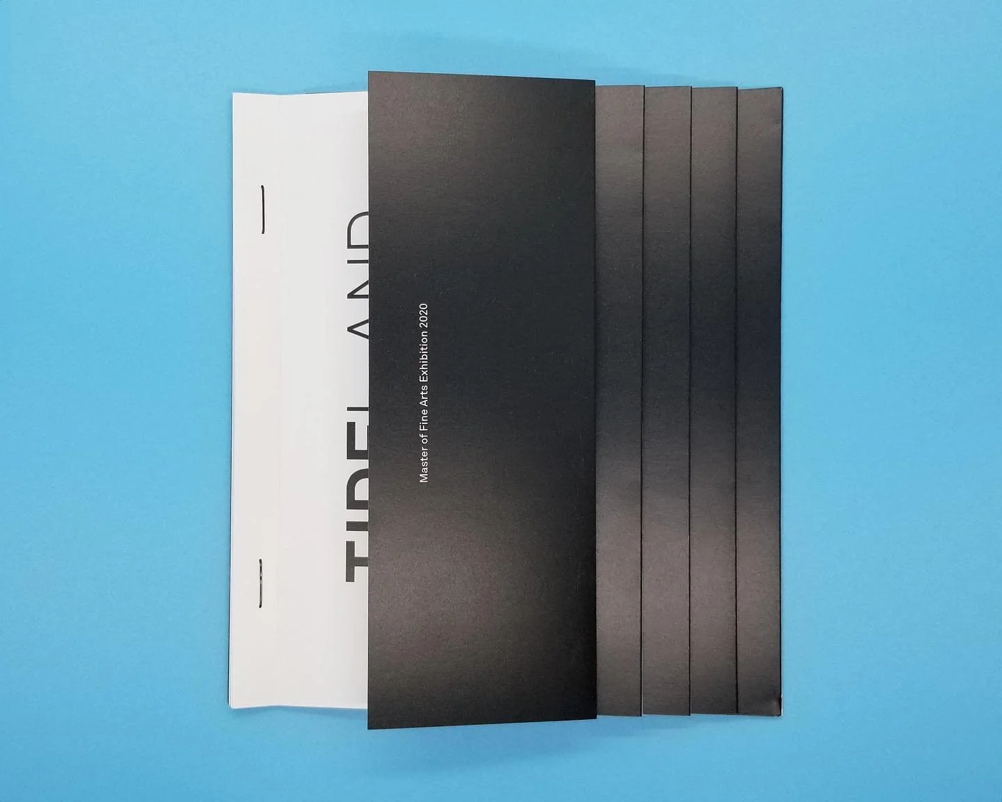 UCONN MFA Exhibition Catalogue, Class of 2020 : TIDELAND

Never shared this project, but a recent post from @uconngraphicdesign reminded me of this final project I had the pleasure of taking part in with our beloved professor and mentor, Edvin Yegir.