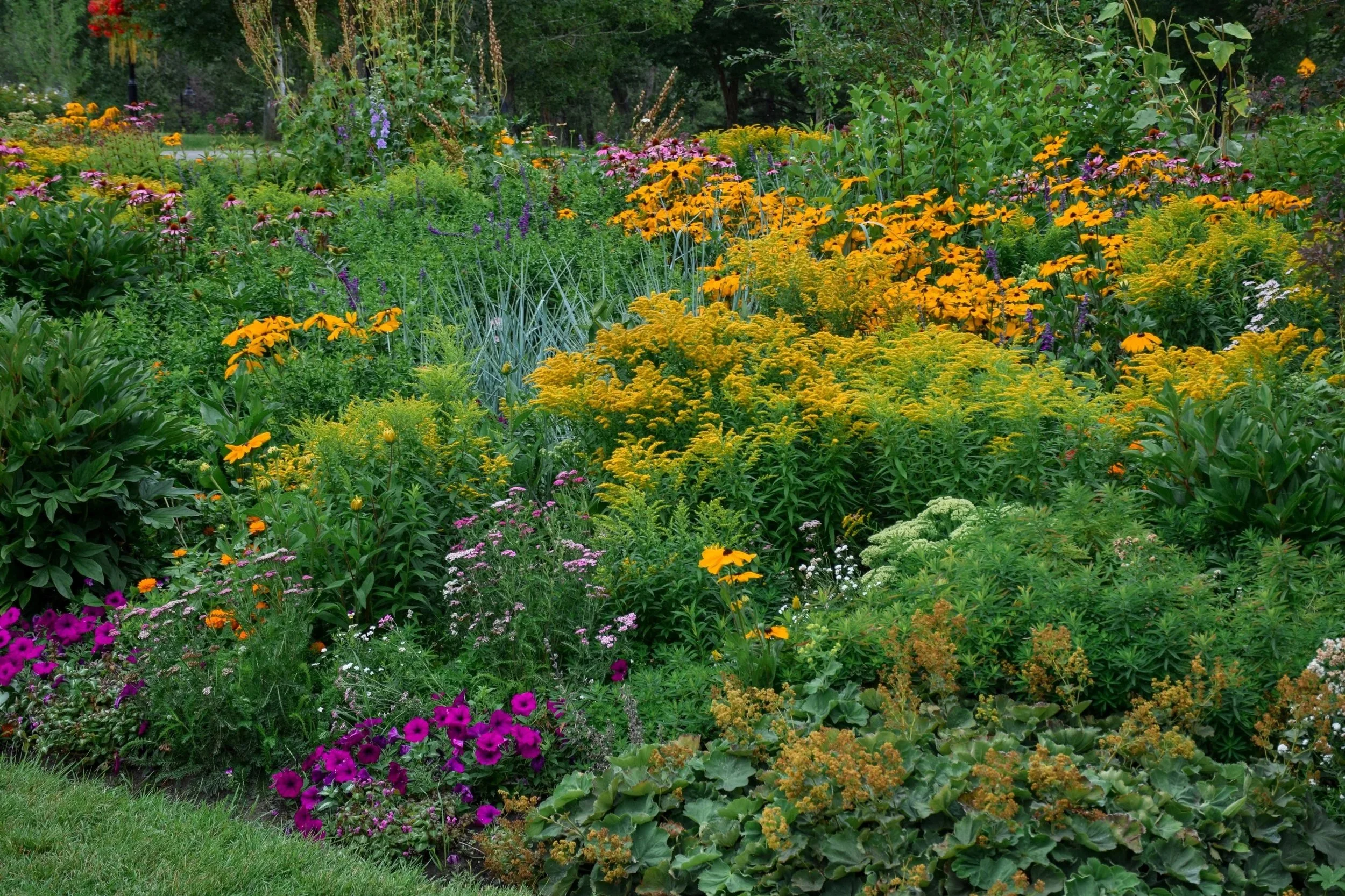 annual-perennial-garden-bed-mix-flower-border-in-t-2026-03-24-08-39-26-utc.jpg