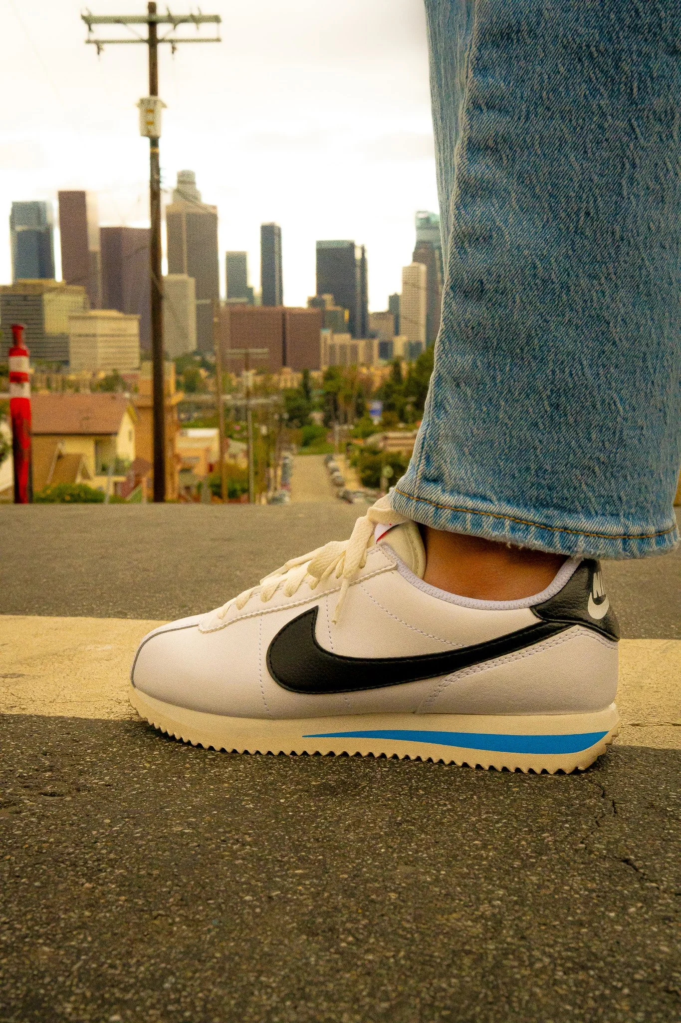 Cortez Dreams