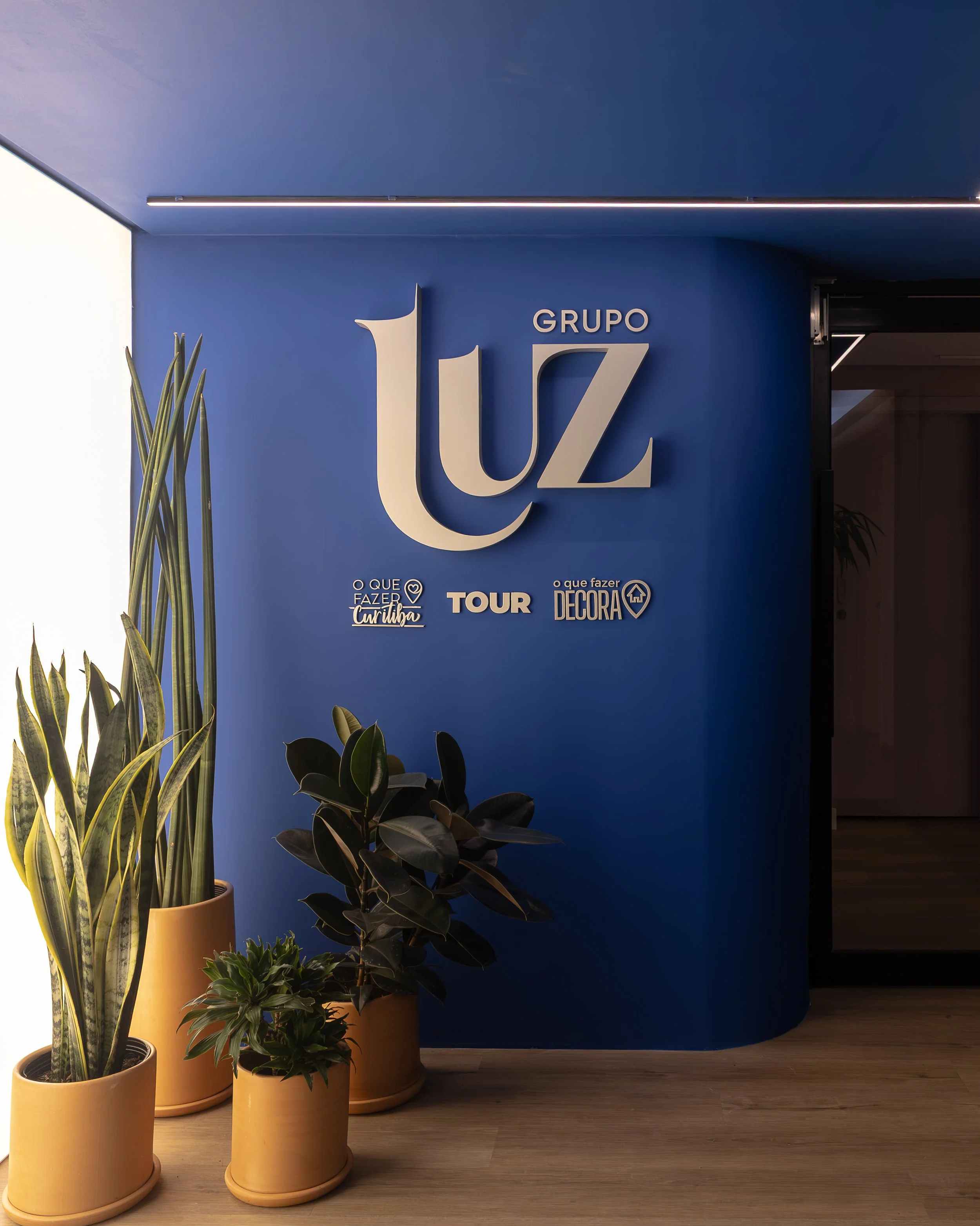 Entrada de escritório com parede azul escura, logo do grupo Luz em letras grandes, plantas em vasos amarelos na esquerda, detalhes de iluminação moderna.