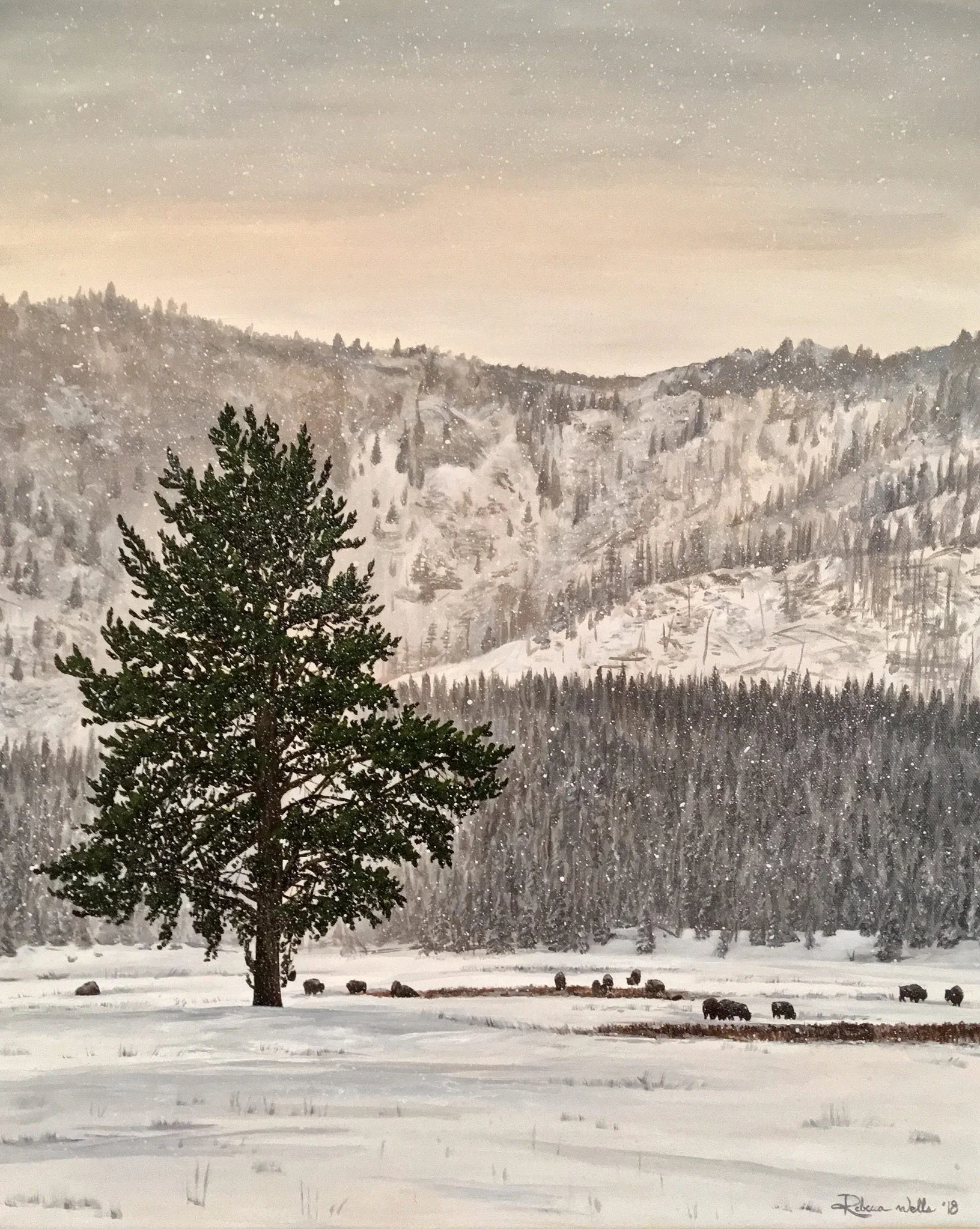 Winter Calm Canvas Print