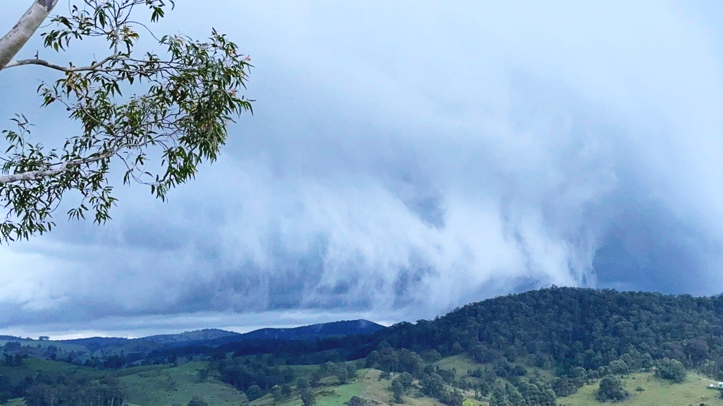 Cloudy sky over green hills, with a tree branch in the upper left corner.