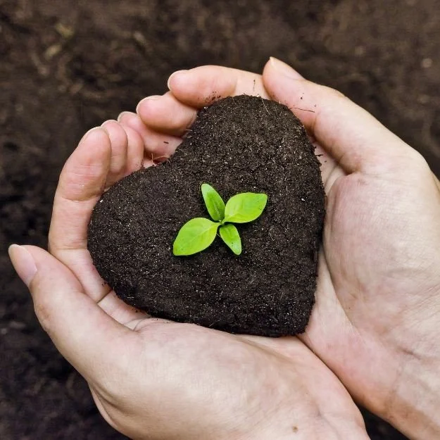 Gentle Shifts Create Big Changes