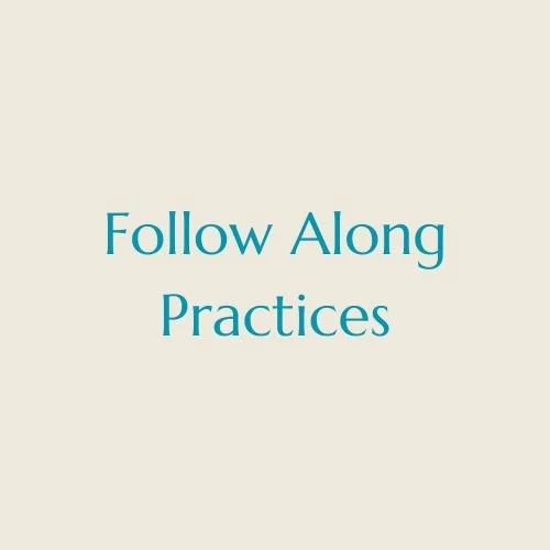 Text that reads "Follow Along Practices" on a plain background.
