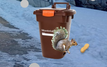 Screenshot 2026-01-13 163735.png