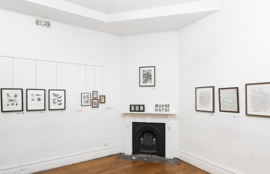 imprint* x Borderspace