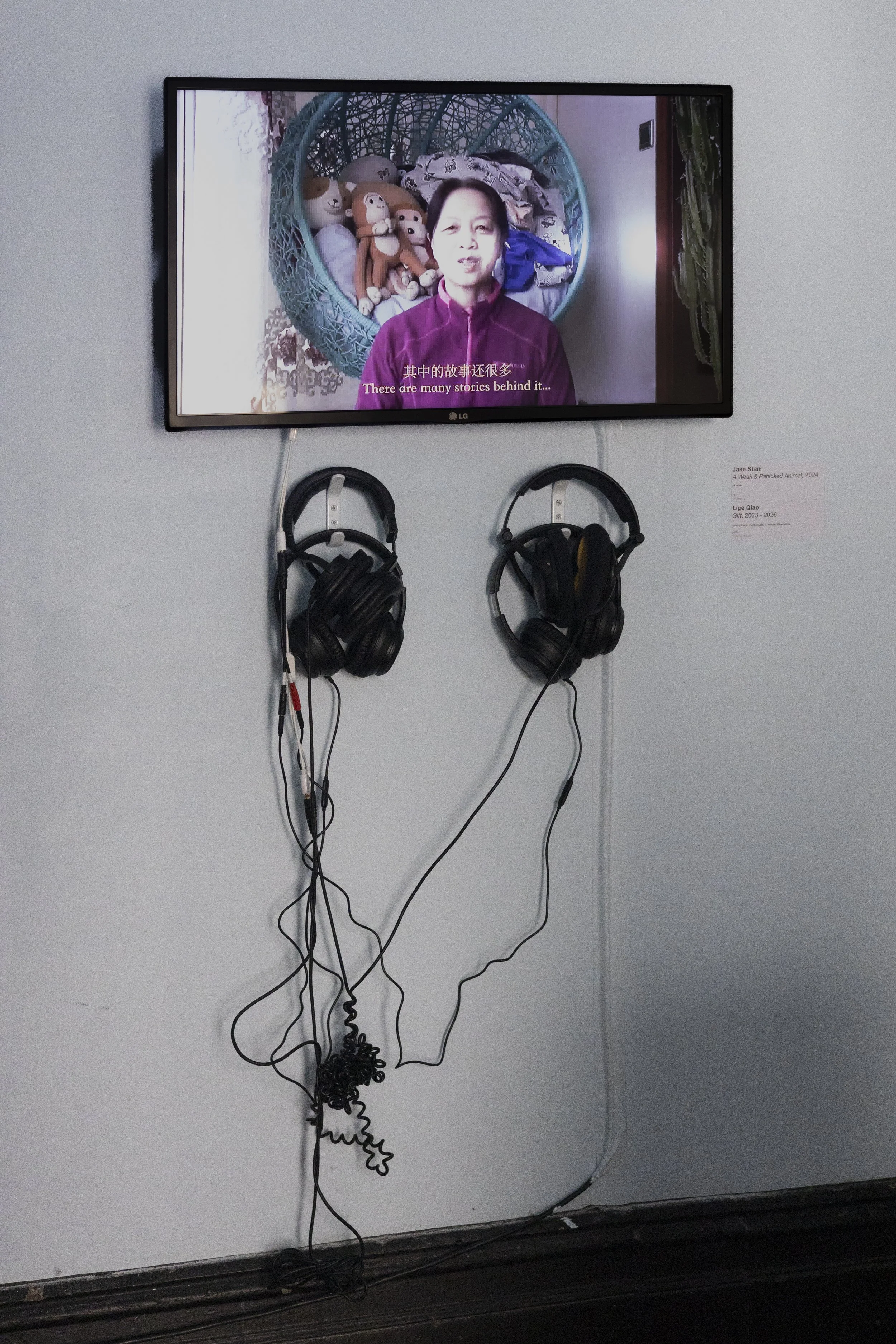 situatedknowledgesinstall-1.jpg