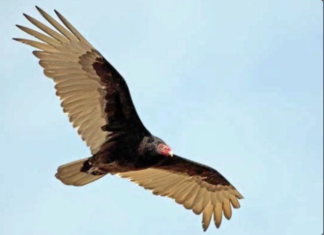 Screenshot 2026-01-12 at 7.19.08 PM.png