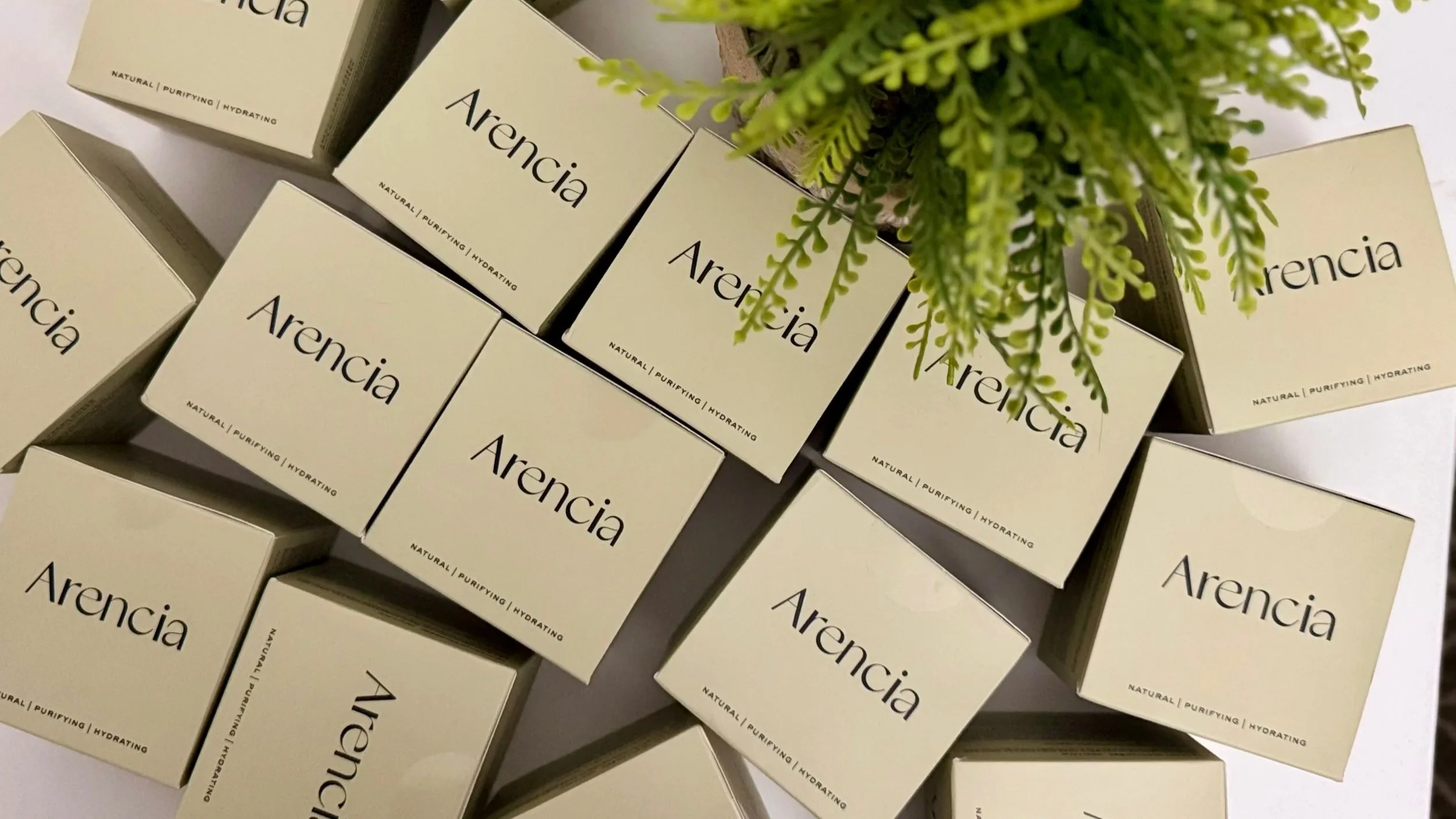 Caja de productos de belleza Arencia en varias unidades y un poco de planta ornamental verde