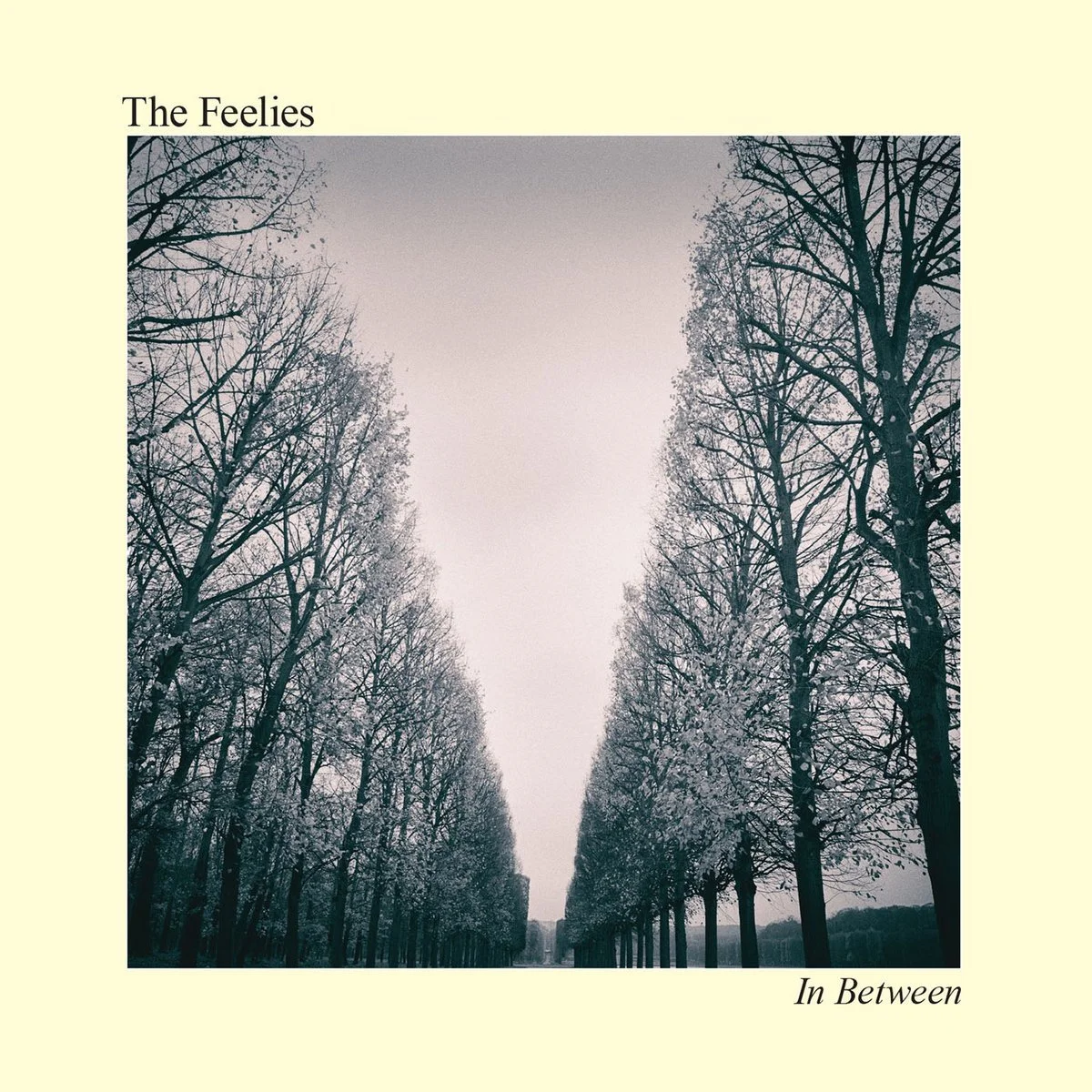 In Between - The Feelies