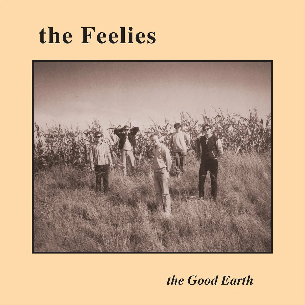 The Good Earth - The Feelies