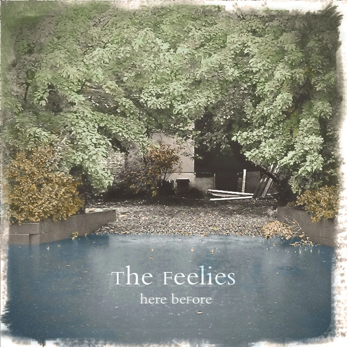 Here Before - The Feelies