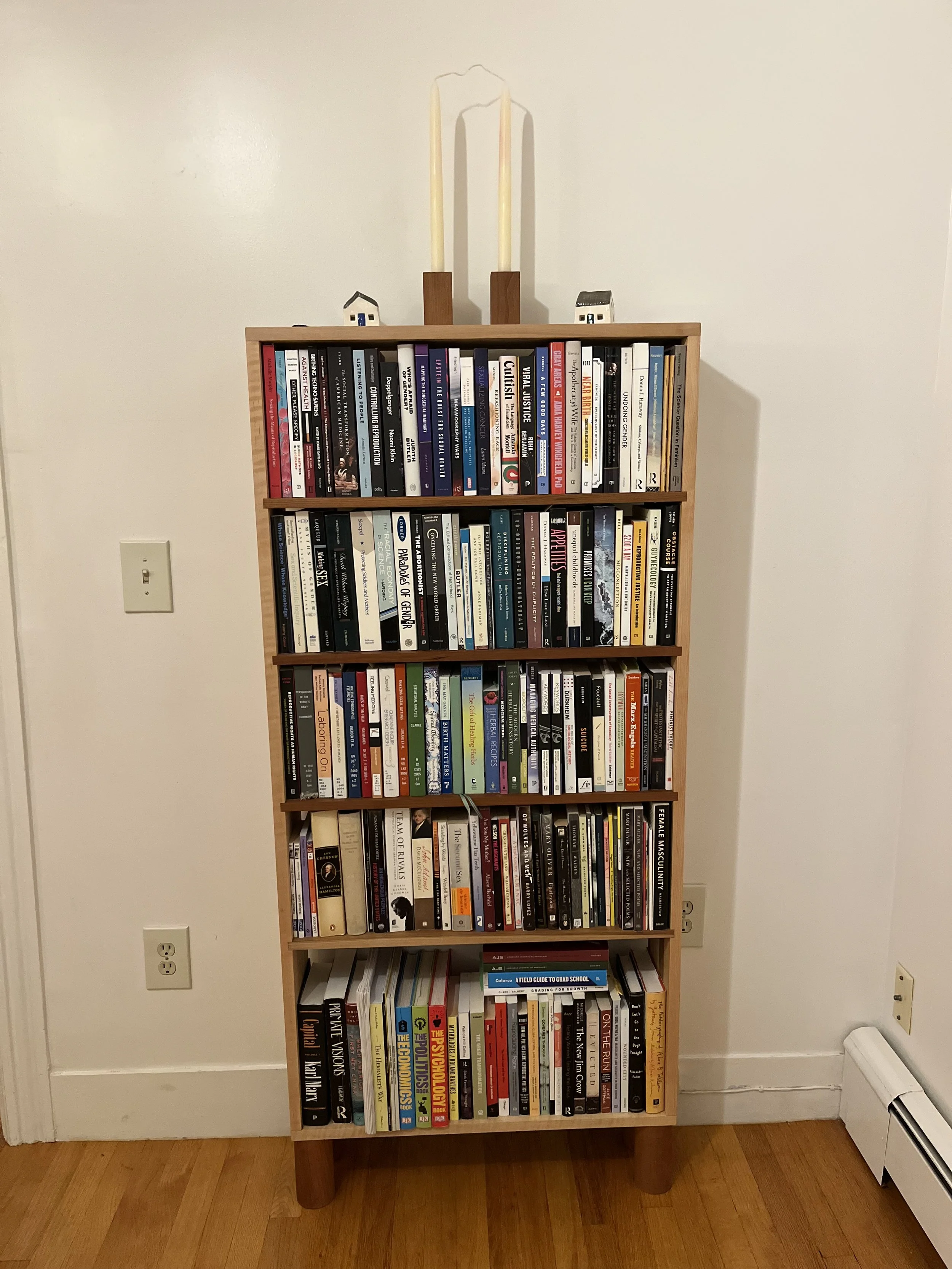 bookcase_with books.jpeg