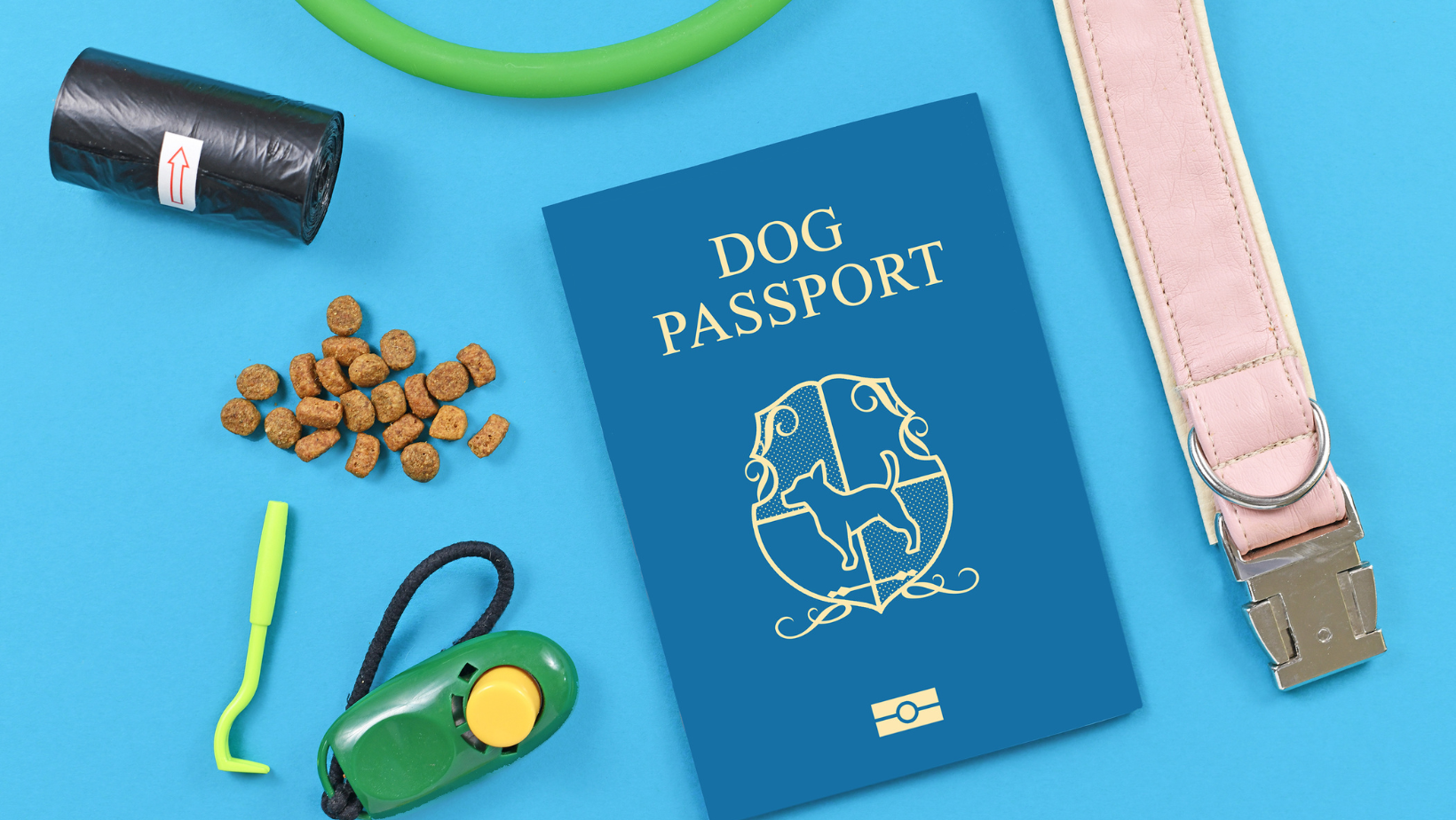 How Much Does a Pet Passport Cost? (And What You're Actually Paying For)
