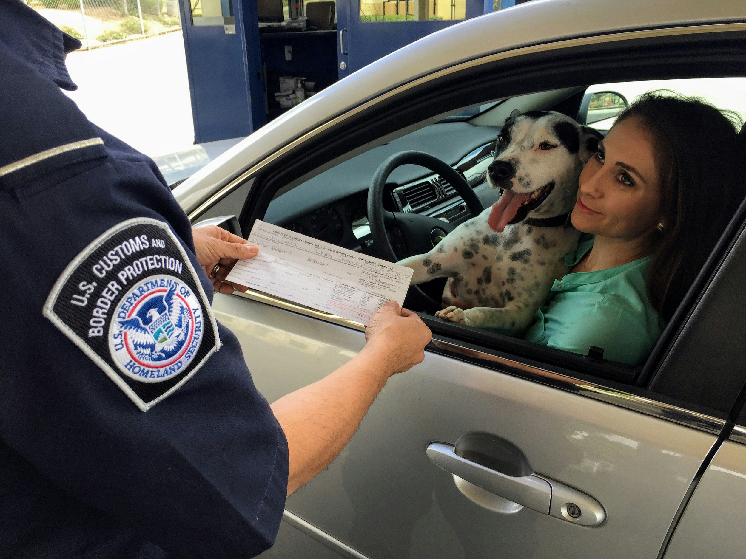 What Is a Pet Health Certificate and Why You Need One for International Travel