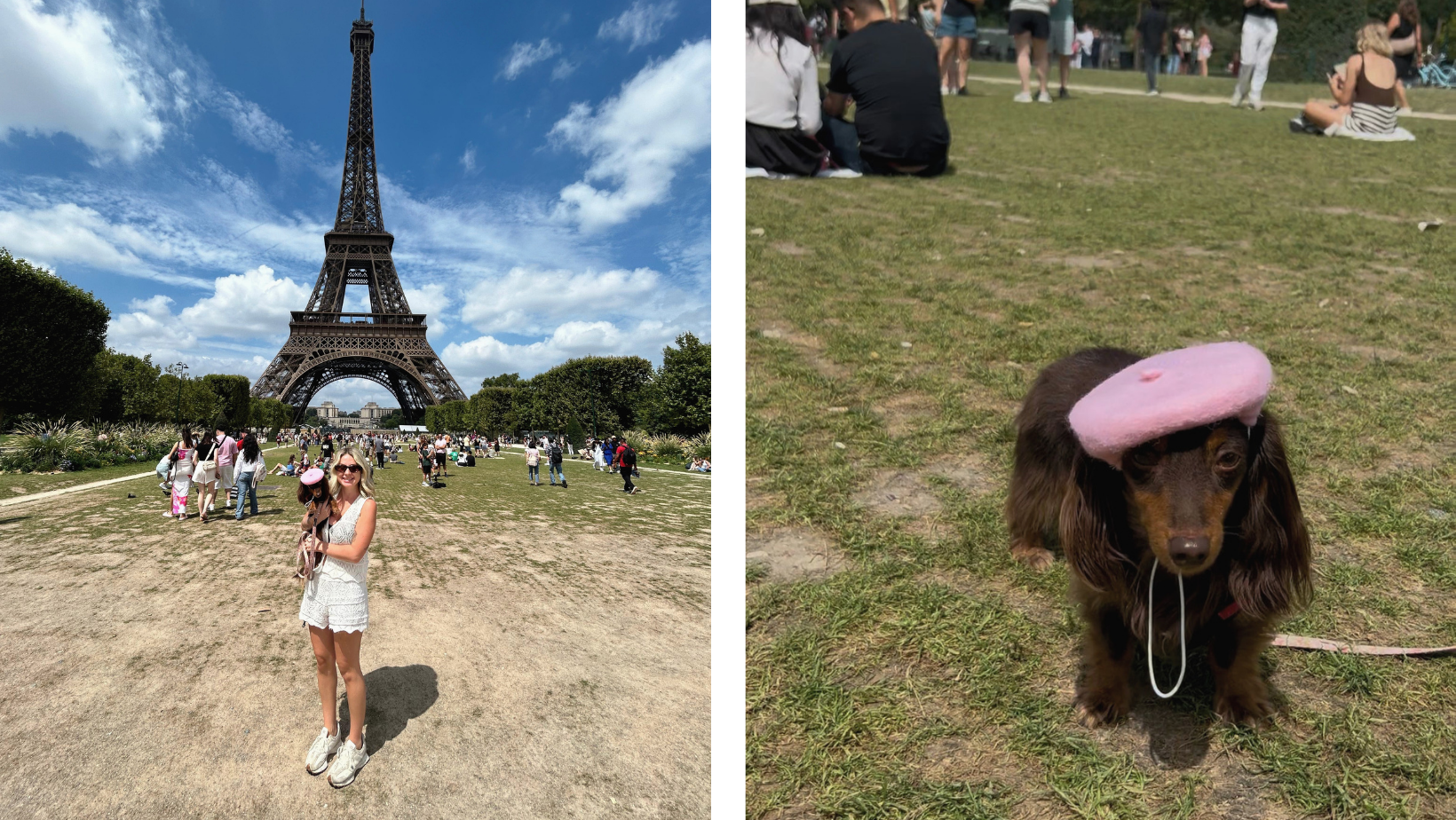 Taking Your Dog to Italy, France, or Spain? Here's What the Paperwork Actually Looks Like