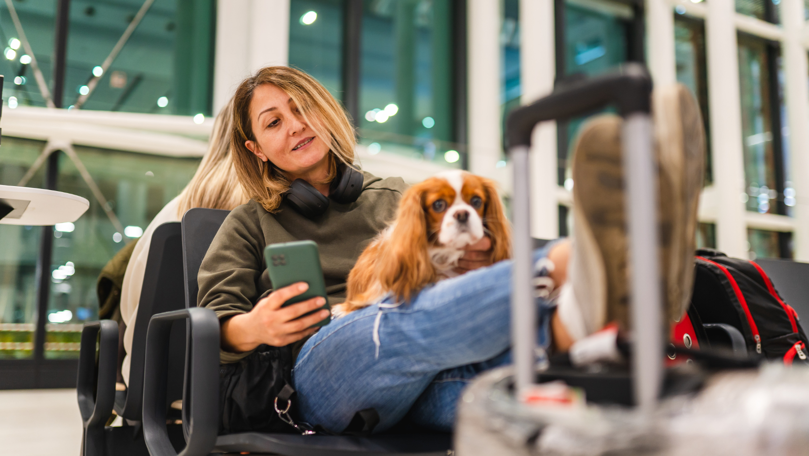 Moving Abroad With Pets: How to Plan Without Losing Your Mind