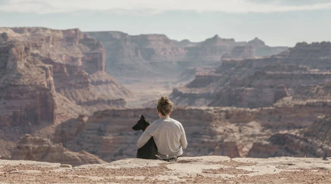 A person sitting and holding a black dog at the Grand Canyon, overlooking the canyon's layered rock formations.