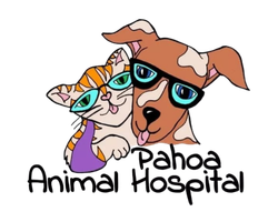 Cartoon of a cute dog and a cat both wearing glasses, sitting close together.