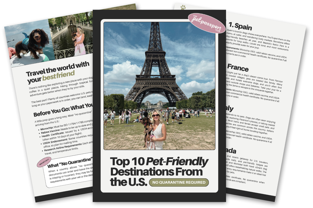 A travel pamphlet displaying the Eiffel Tower in Paris with a woman and dog in front, and featuring the headline "Top 10 Pet-Friendly Destinations From the U.S." with a "No Quarantine Required" label.