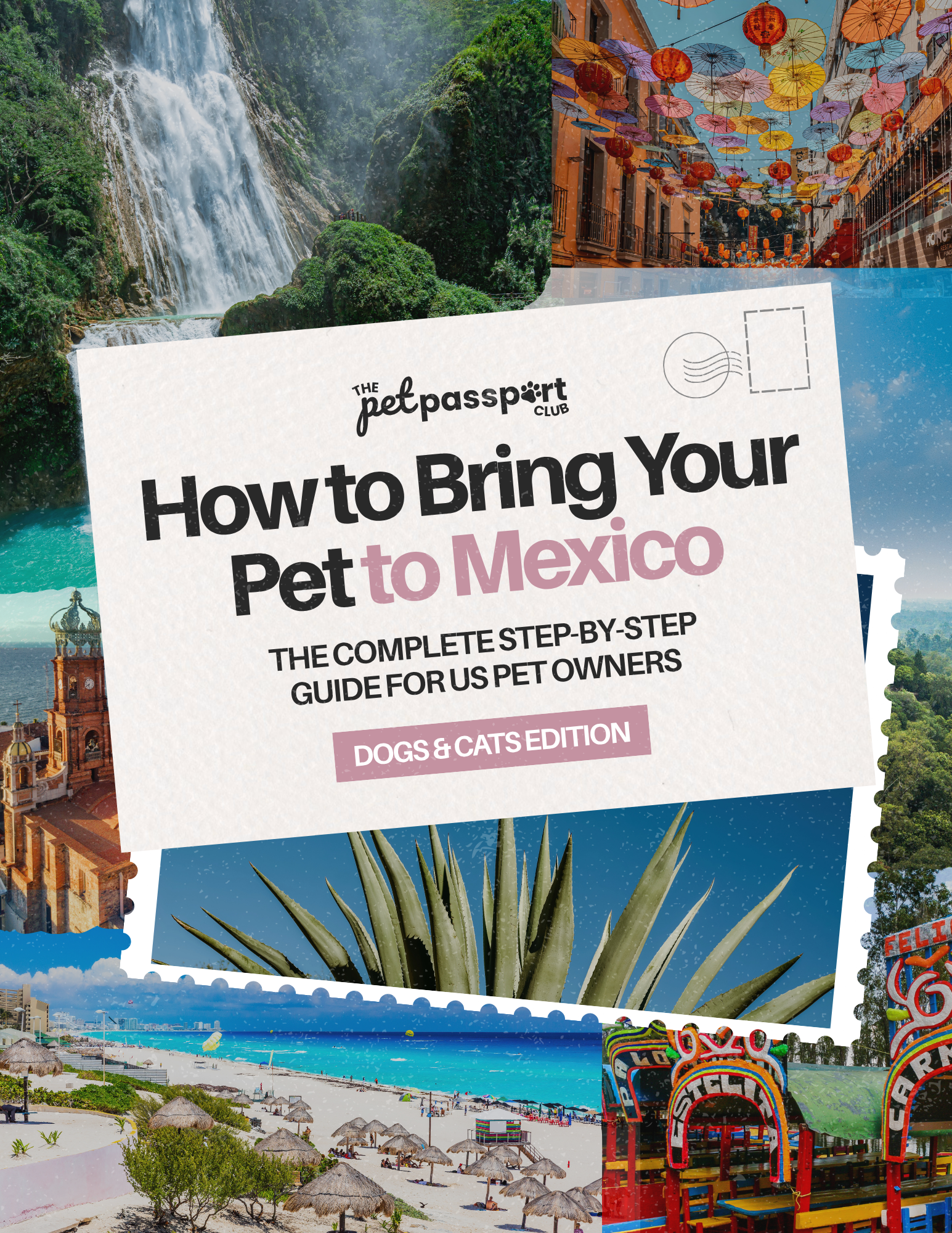 How to bring your pet to mexico.png