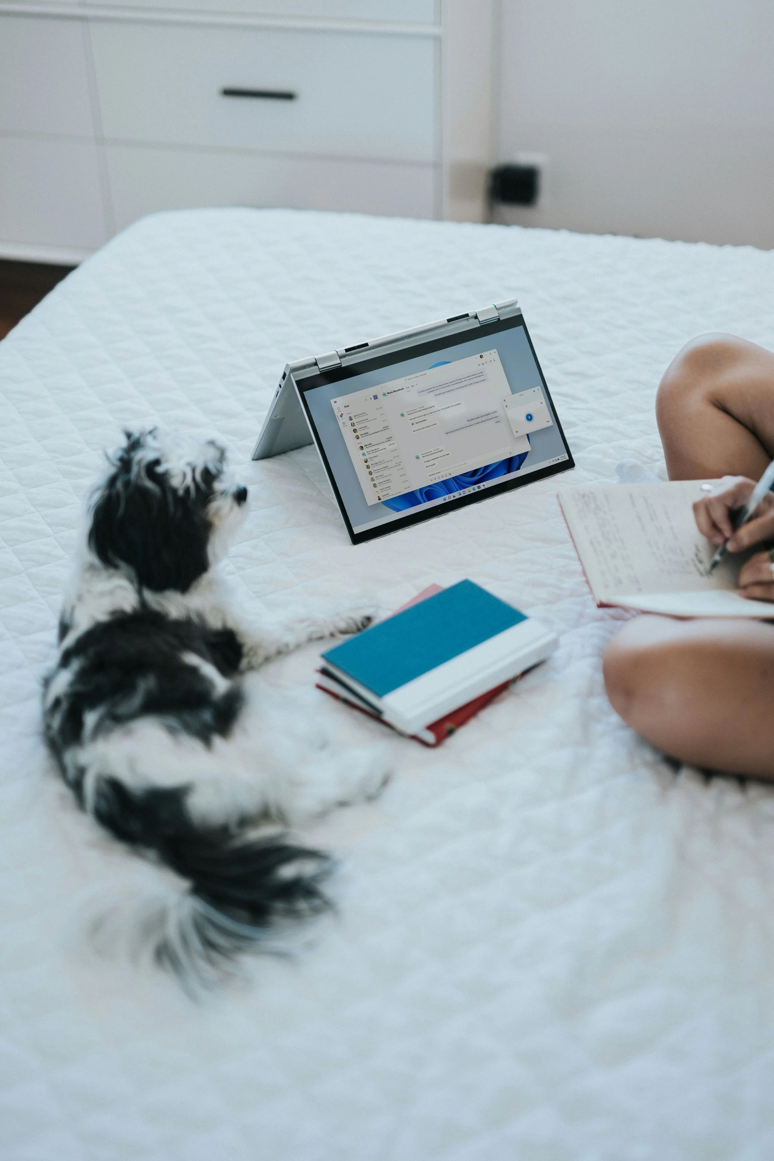 A person sitting on a bed with a small black and white dog, a tablet, notebooks, and a pen in a bedroom.
