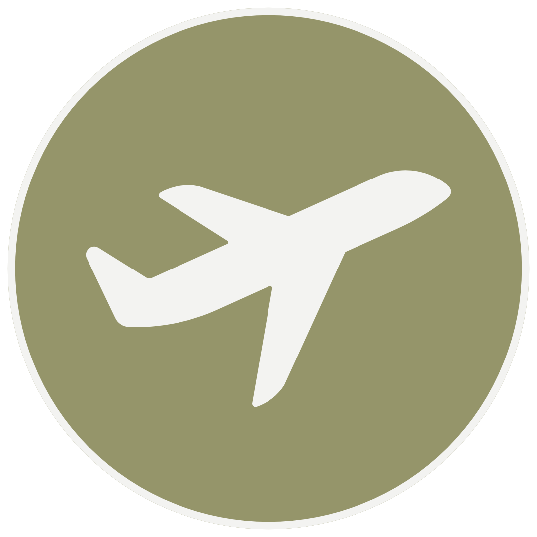 Icon of a white airplane inside a green circle.