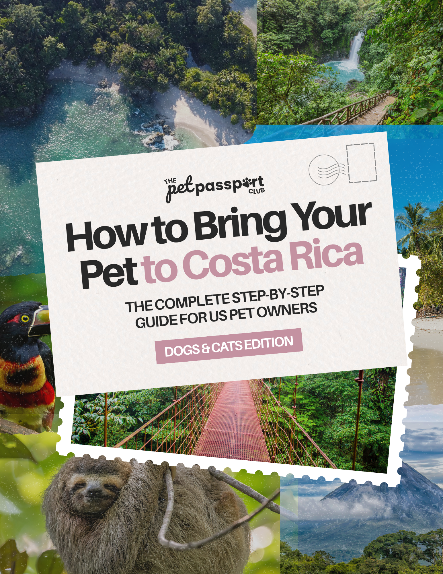 How To Bring Your Pet To Costa Rica: Step-By-Step Guide