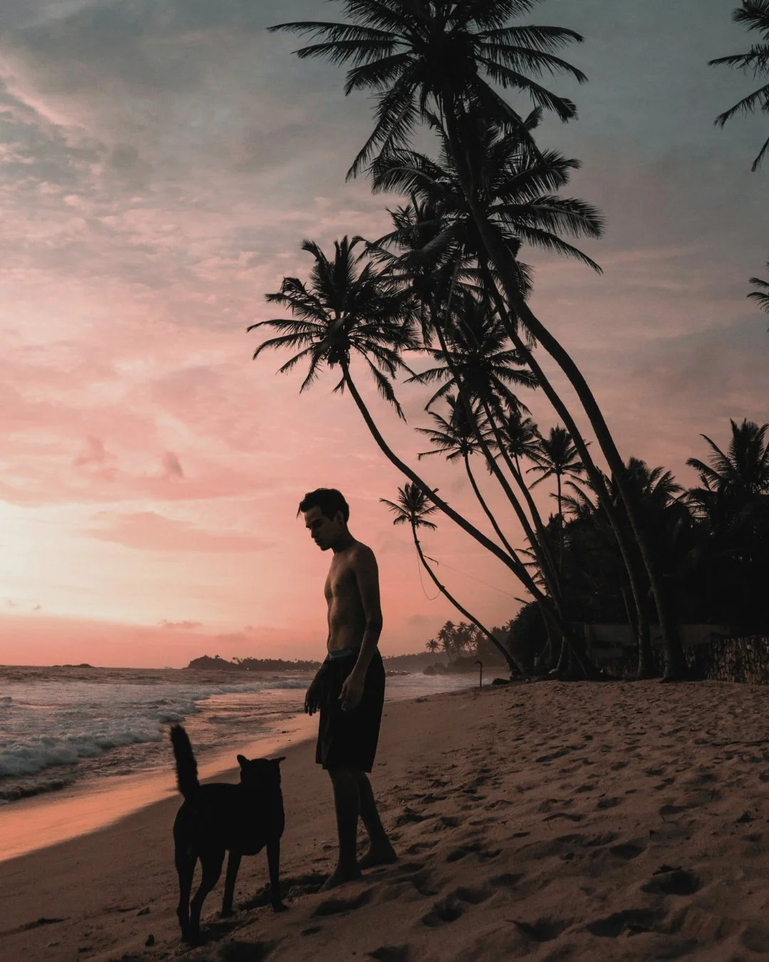A shirtless man walks on the beach with a dog during sunset, with palm trees and a pink and purple sky in the background.