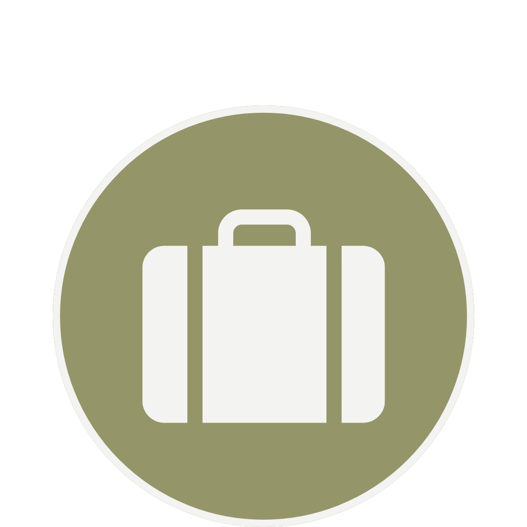Icon of a suitcase or bag within a circular background.