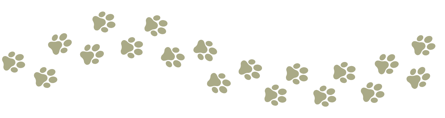 Multiple paw prints scattered in a curving pattern.