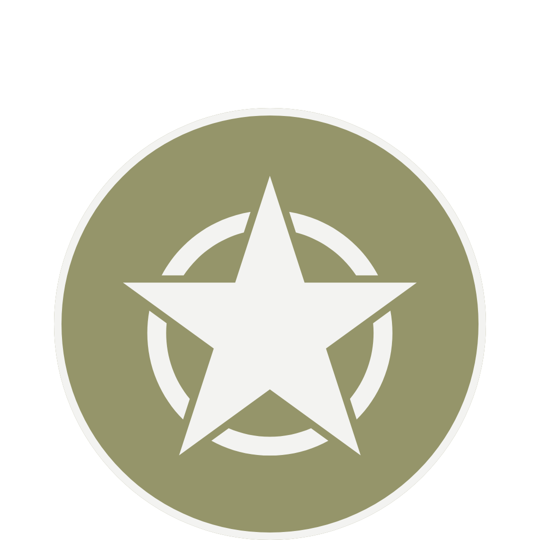 Military-style badge with a white star inside a circle on an olive green background.