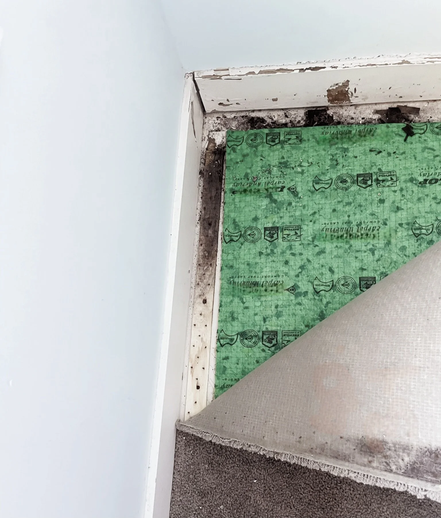 Close-up of a corner of a room showing part of a light-colored wall, baseboard, and floor with green padding and some damaged flooring material.