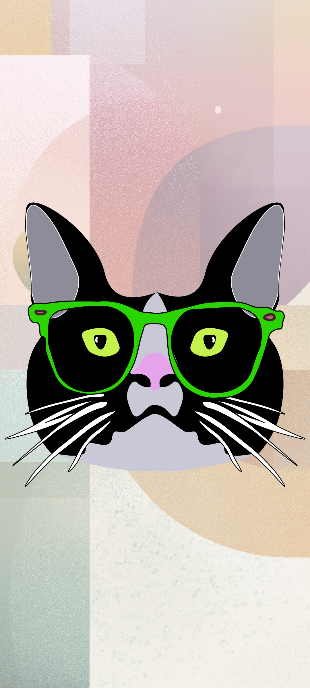 Digital illustration of a black and white cat wearing green sunglasses with a colorful abstract background.