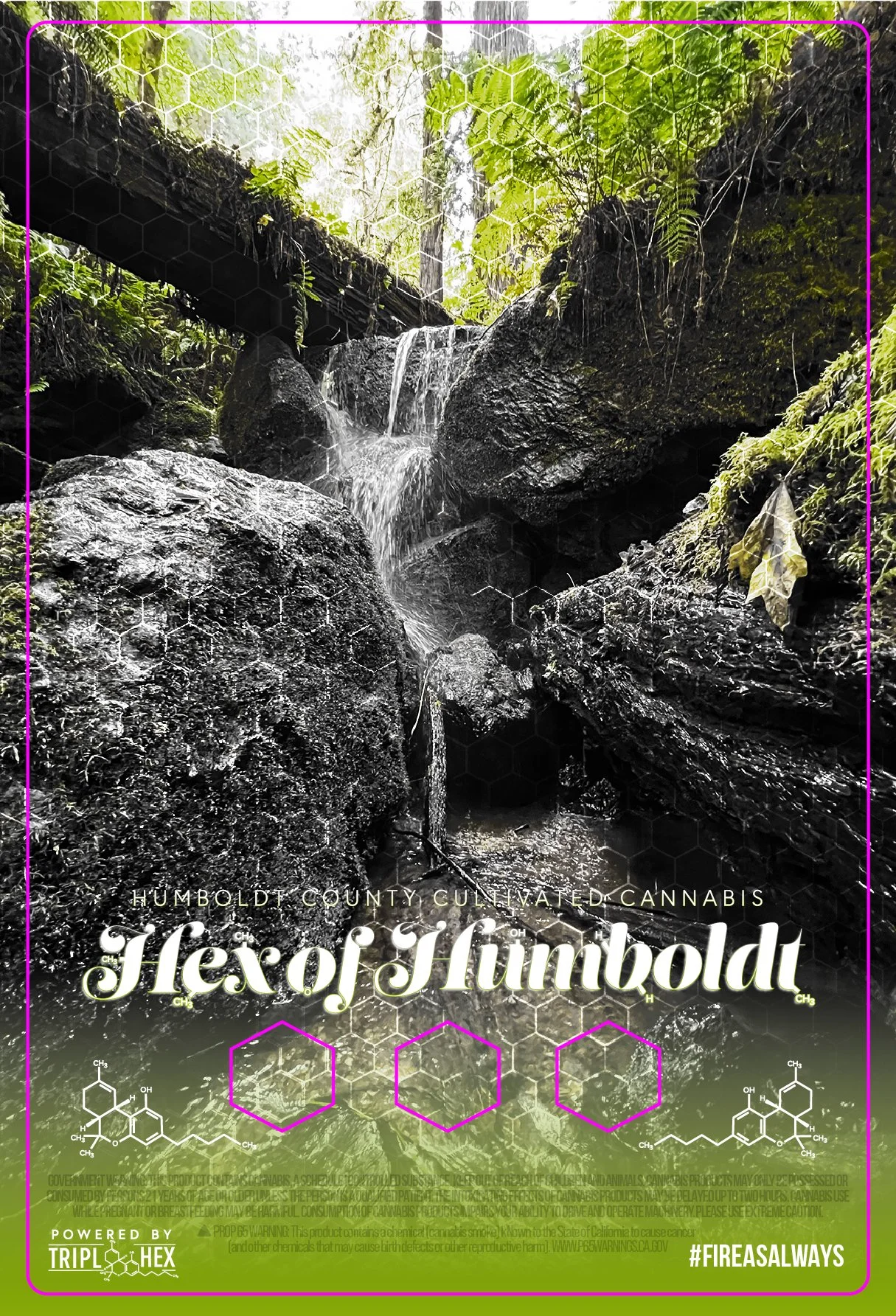 THEX - HEX OF HUMBOLDT - TRIN-01.jpg