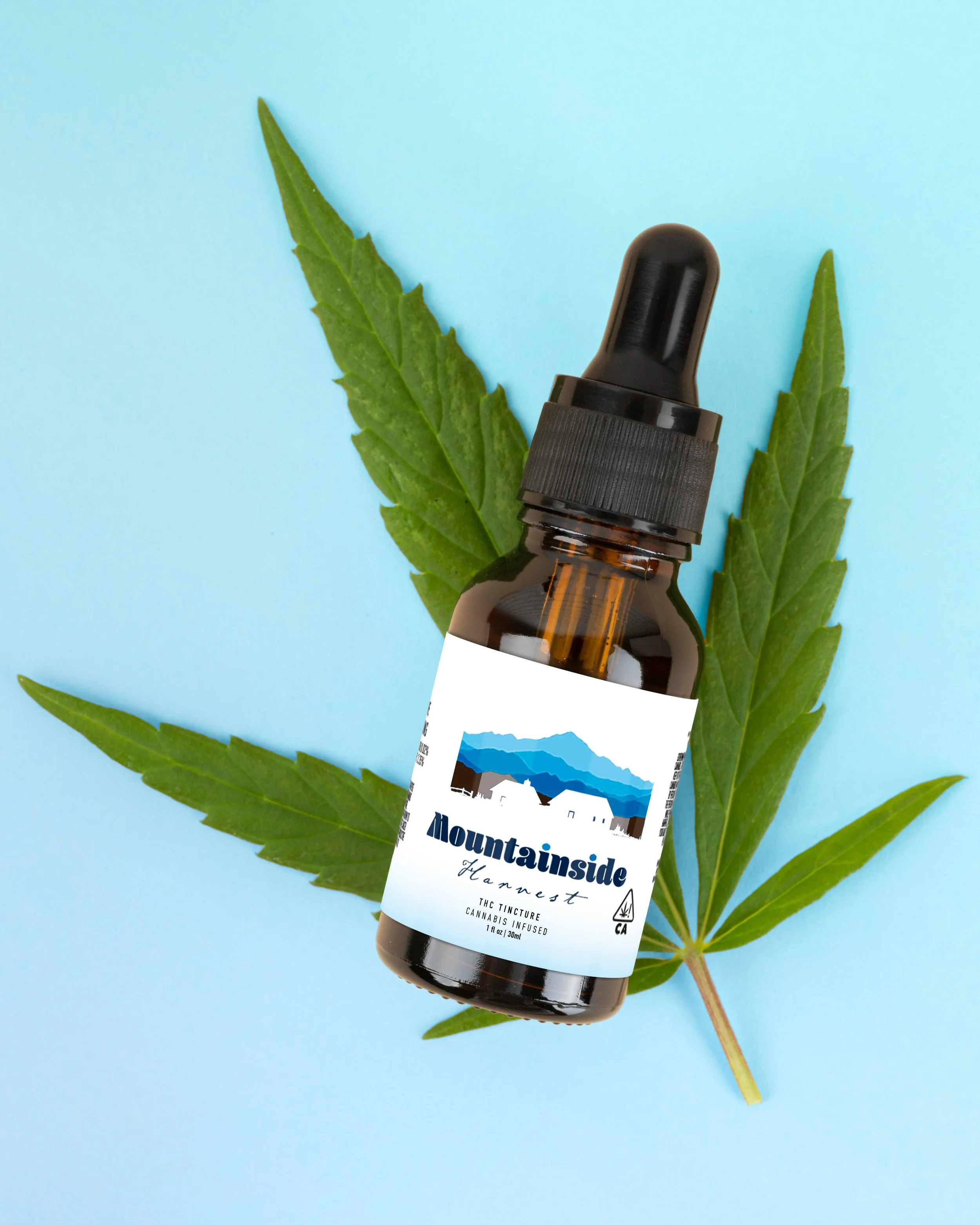 20251215_ MSH_Tincture.jpg