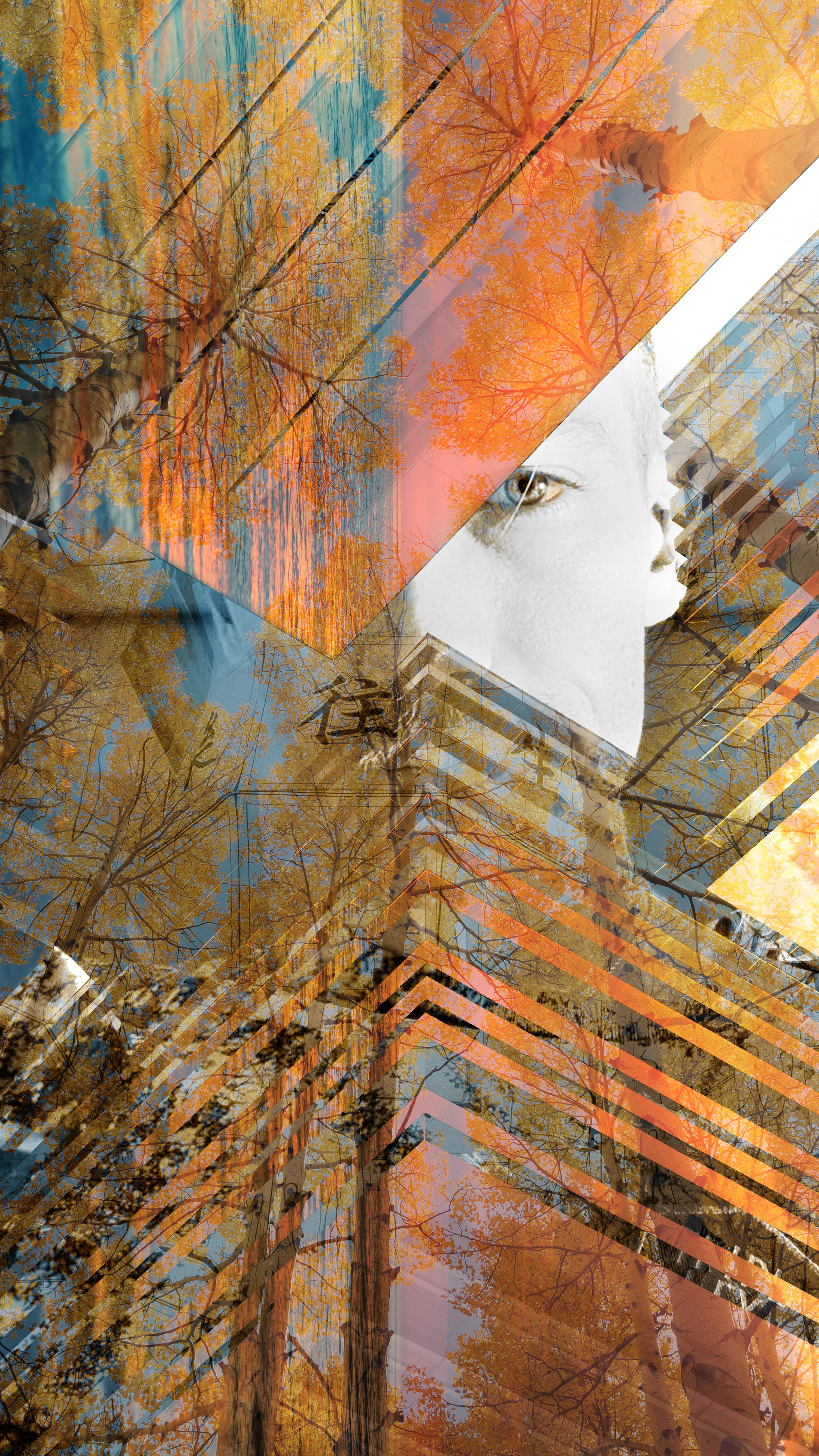 A layered digital collage featuring autumn trees with orange leaves, a child's face, and modern buildings with glass windows.