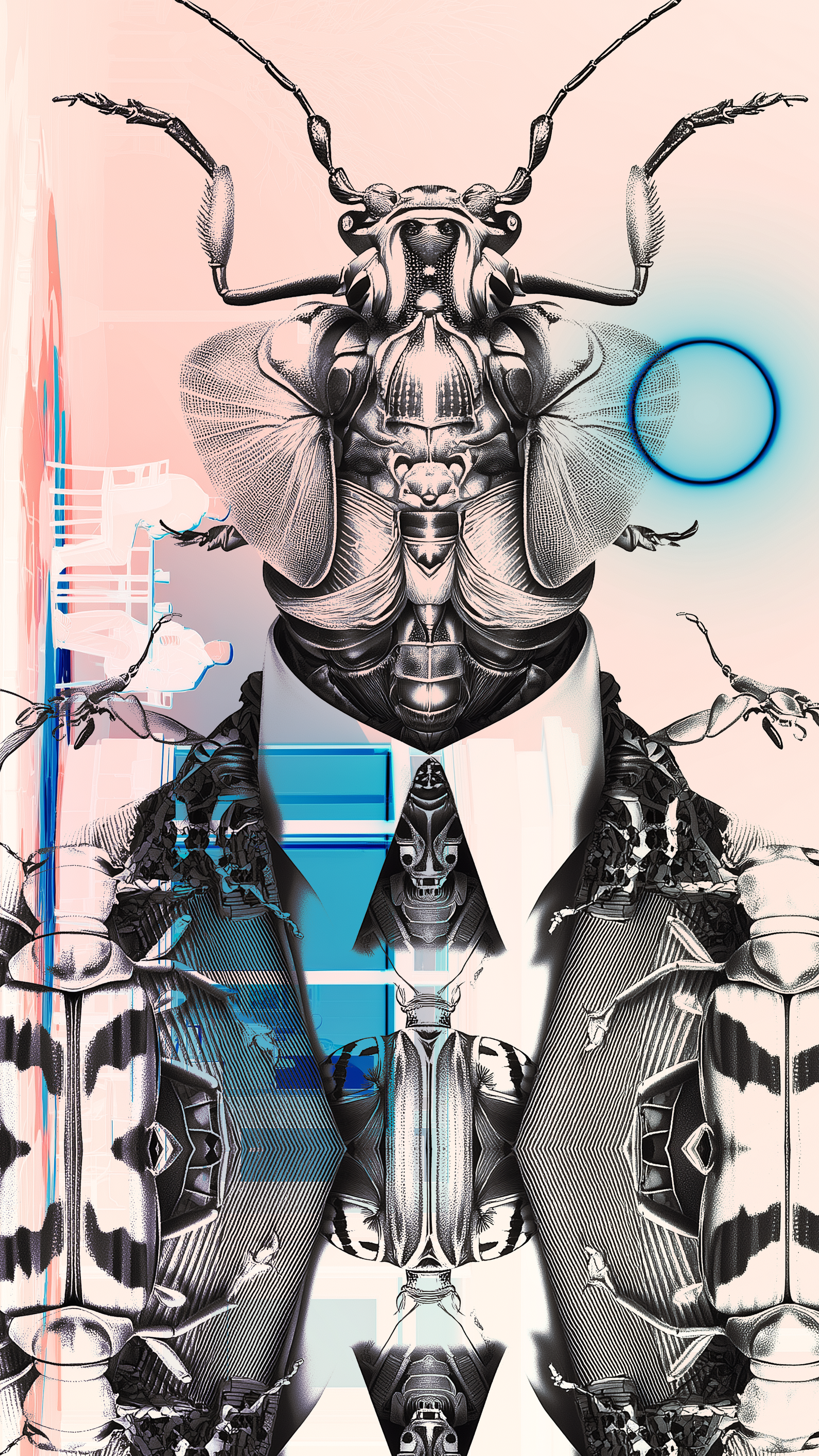 MAN2B.png