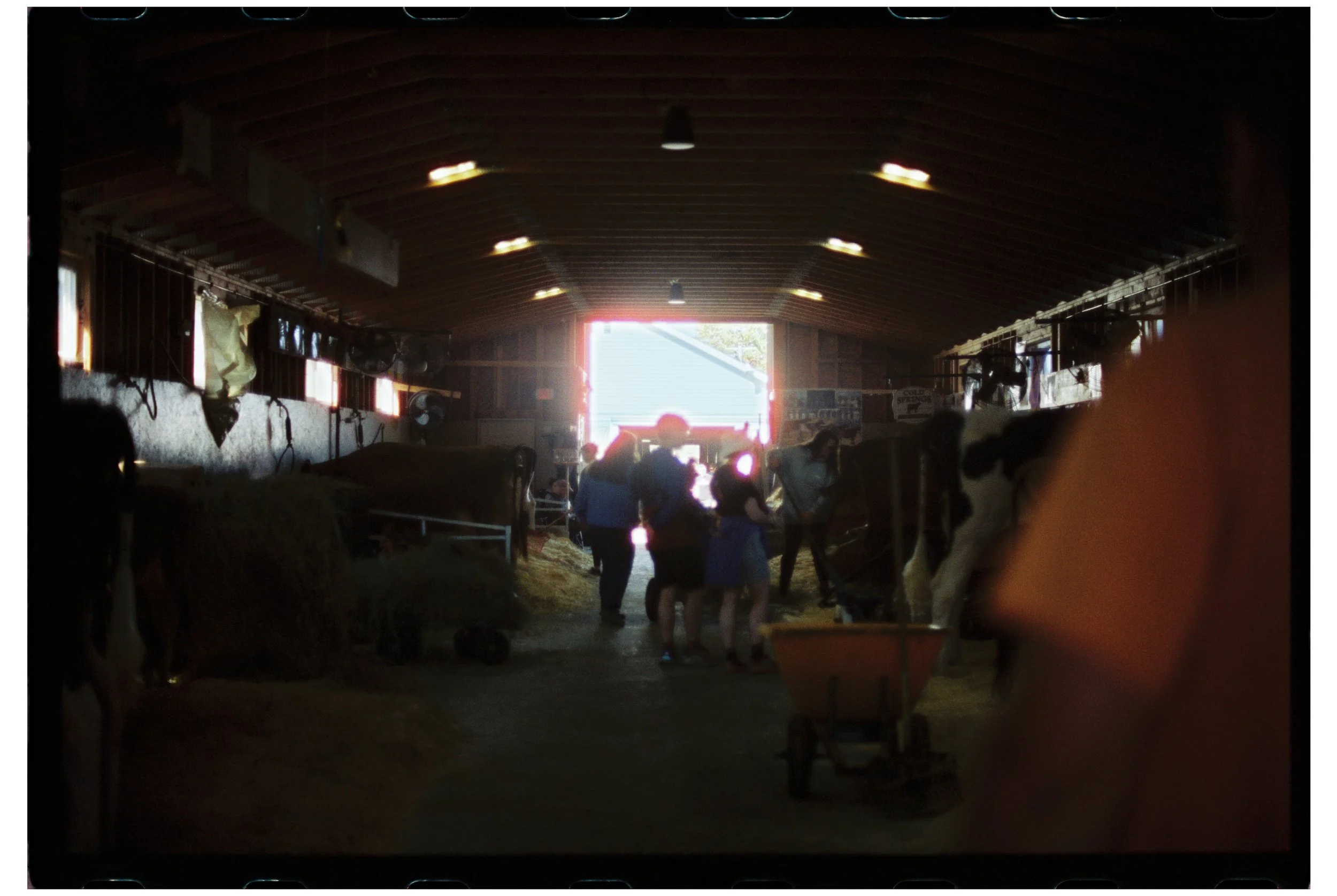 Fryeburg Fair with Becca, Ty, and Zac. Fryeburg, Maine. October 2025. Nikon F3. CineStill 400D.