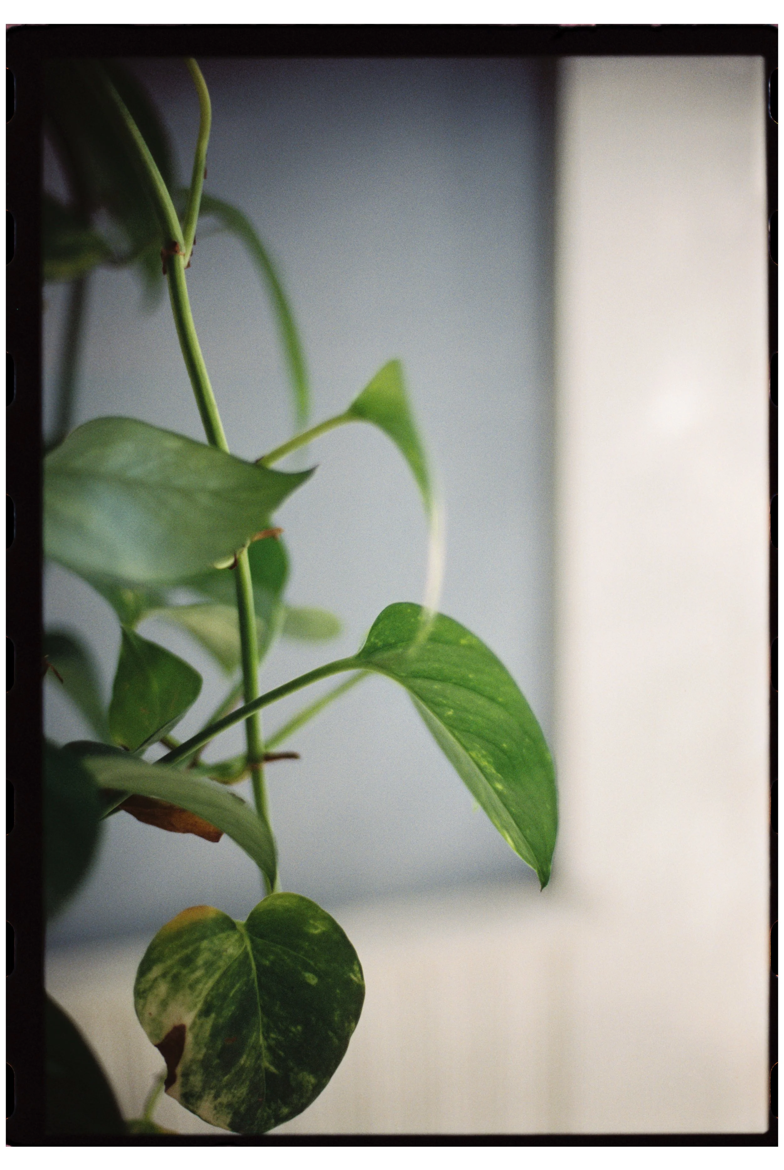  Portland, Maine. October 2025.