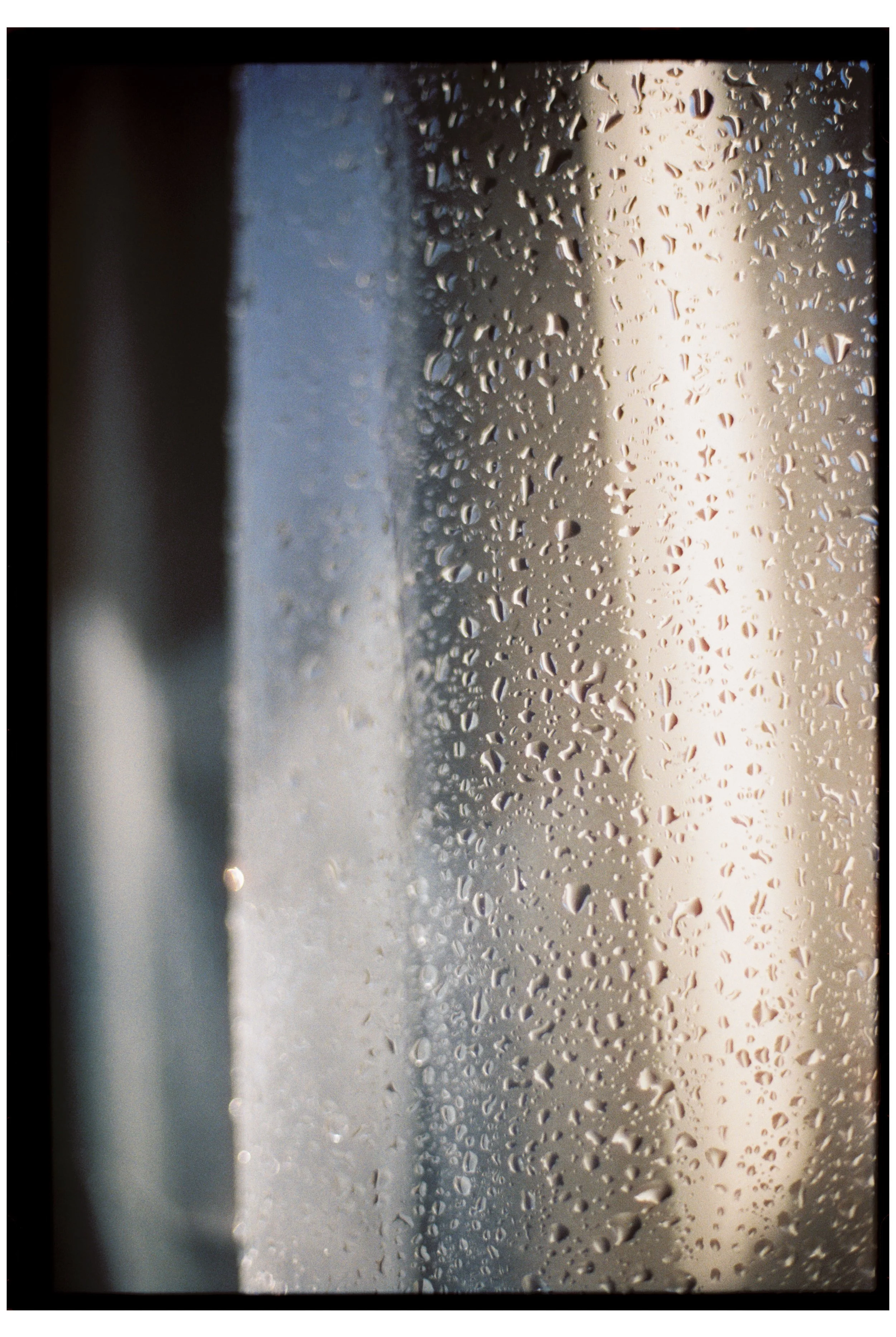 Water droplets on the shower curtain and morning light. Portland, Maine. October 2025.