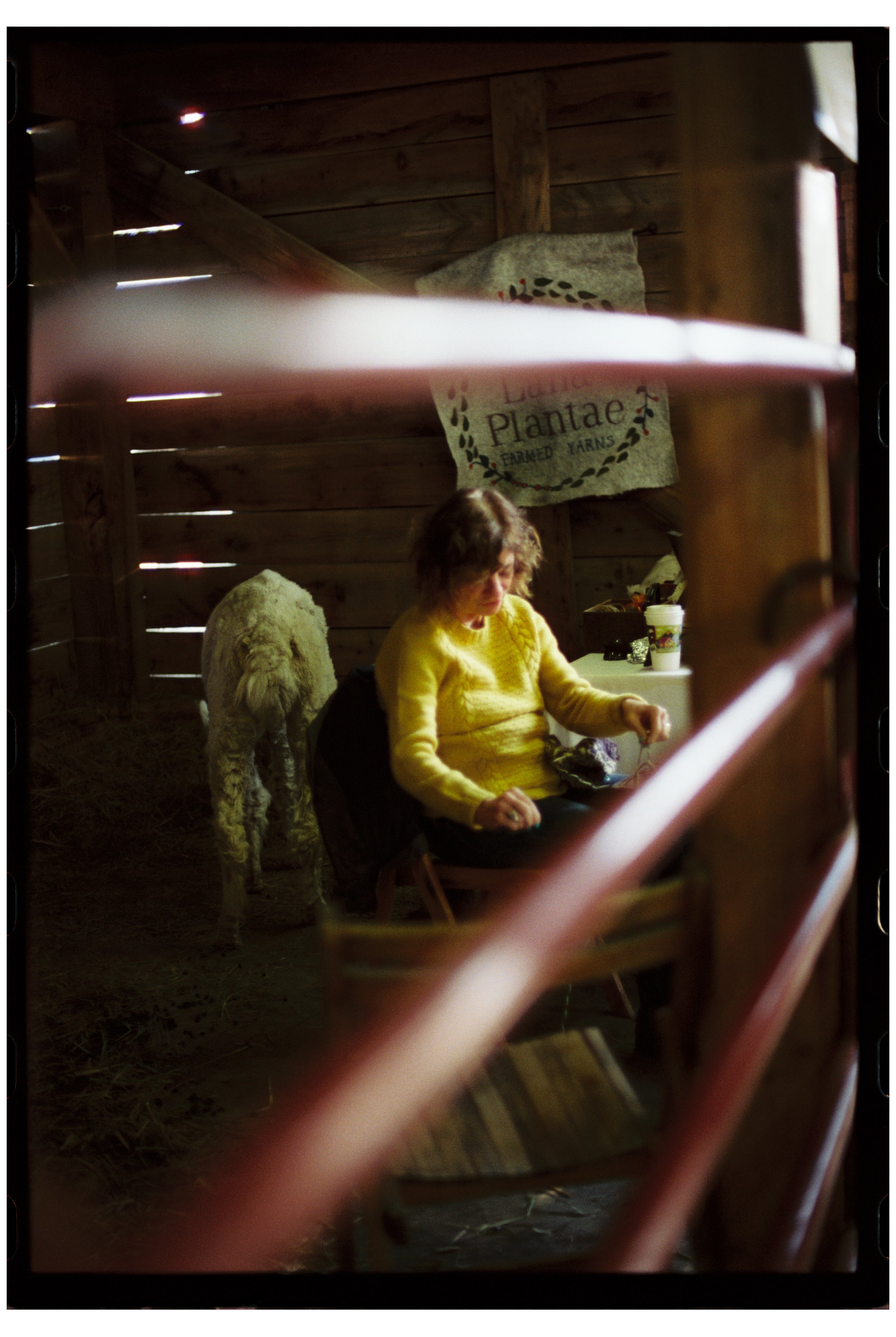 Fryeburg Fair with Becca, Ty, and Zac. Fryeburg, Maine. October 2025. Nikon F3. CineStill 400D.