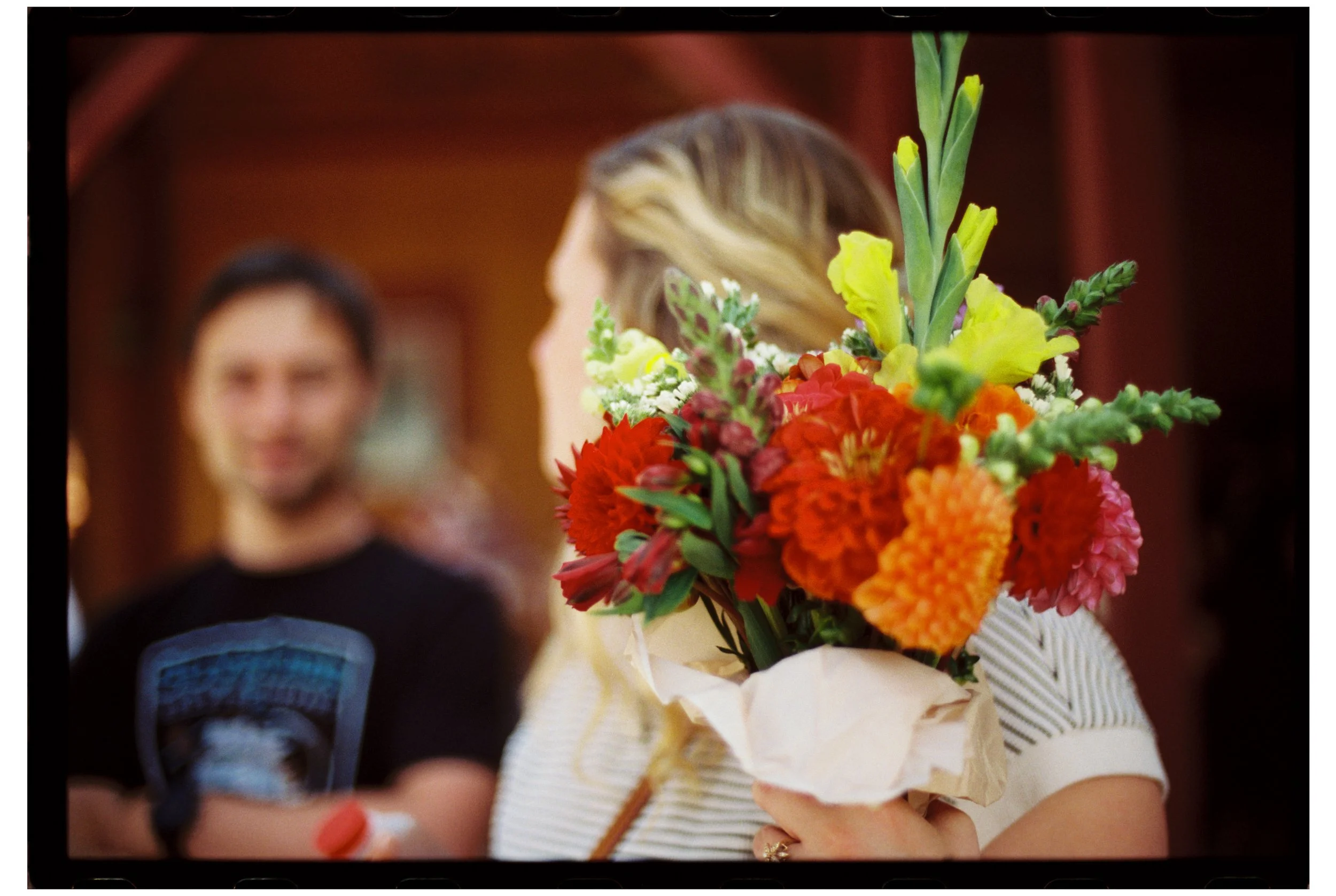 Michelle's flowers.  October 2025. New Hampshire. Nikon F3. CineStill 400D.