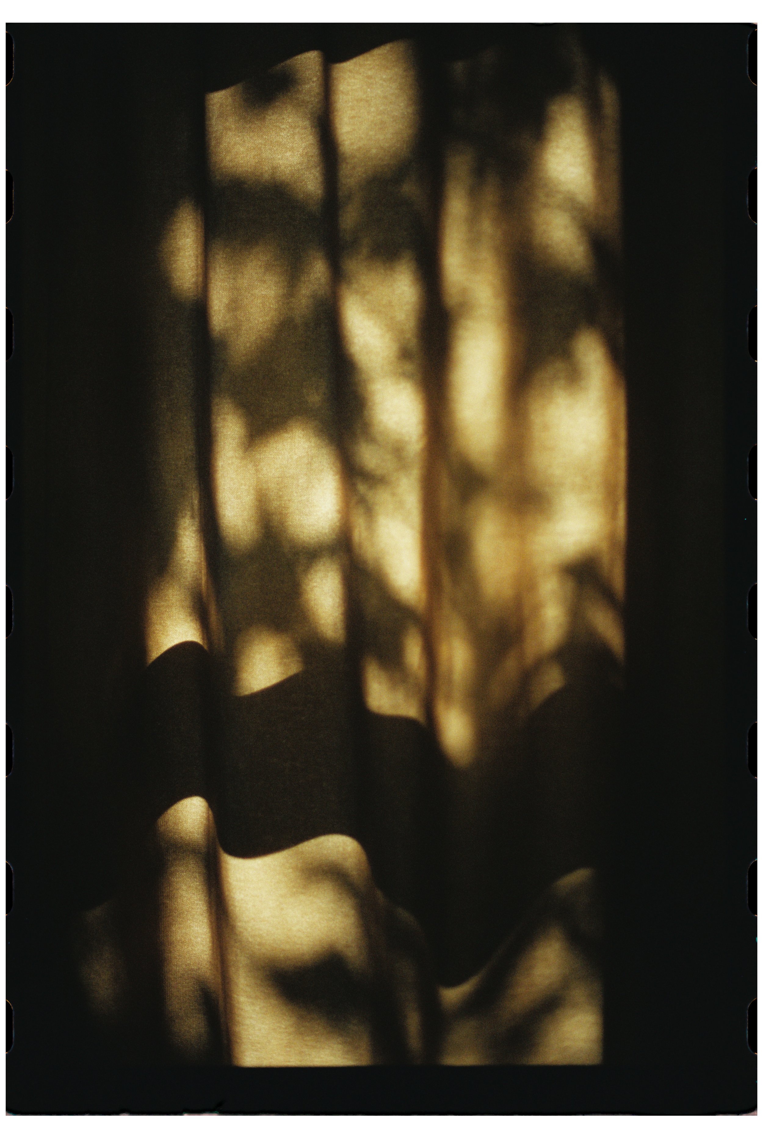 Light and shadow at Emily and Josh's place.  Maine. October 2025.