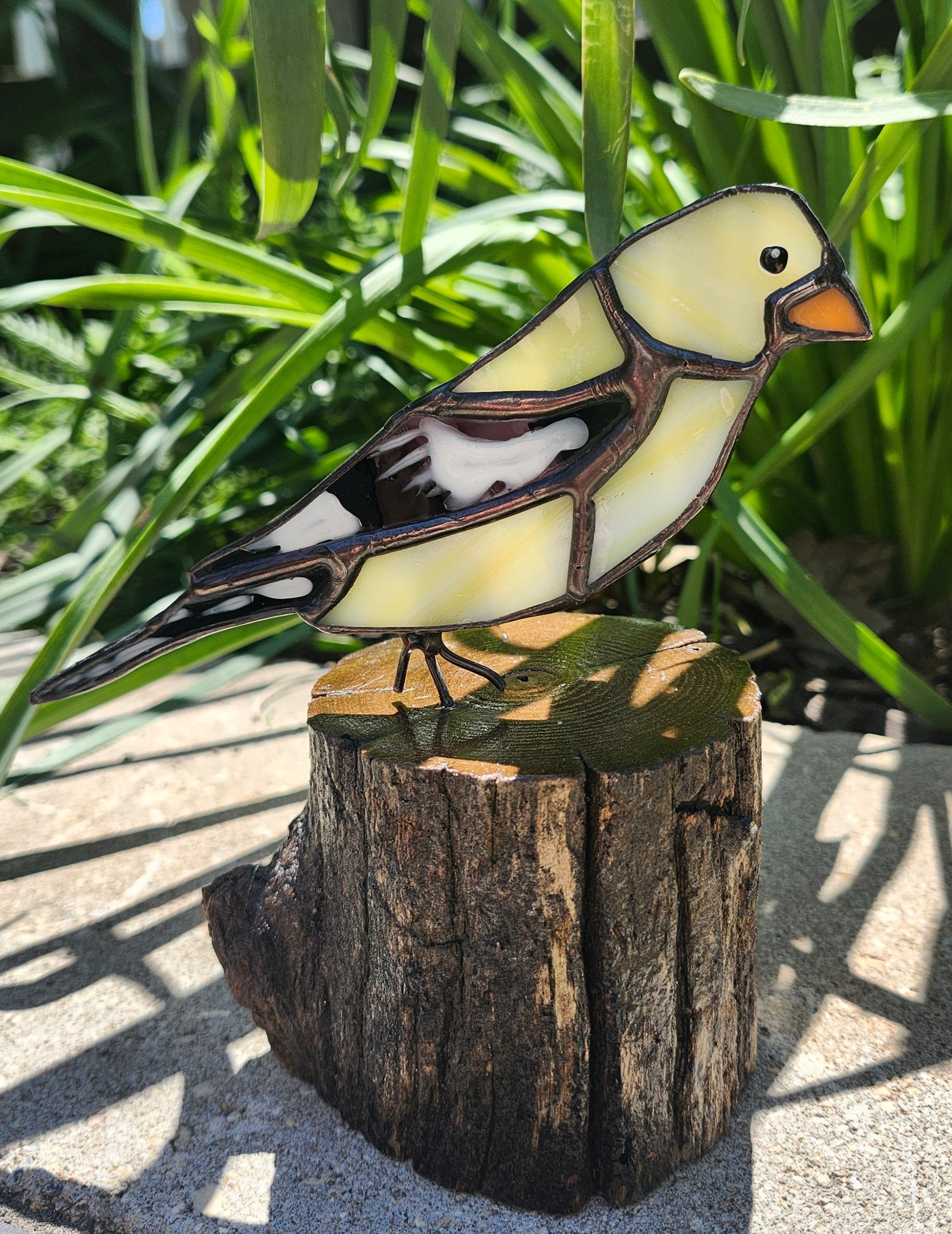 Gold Finch