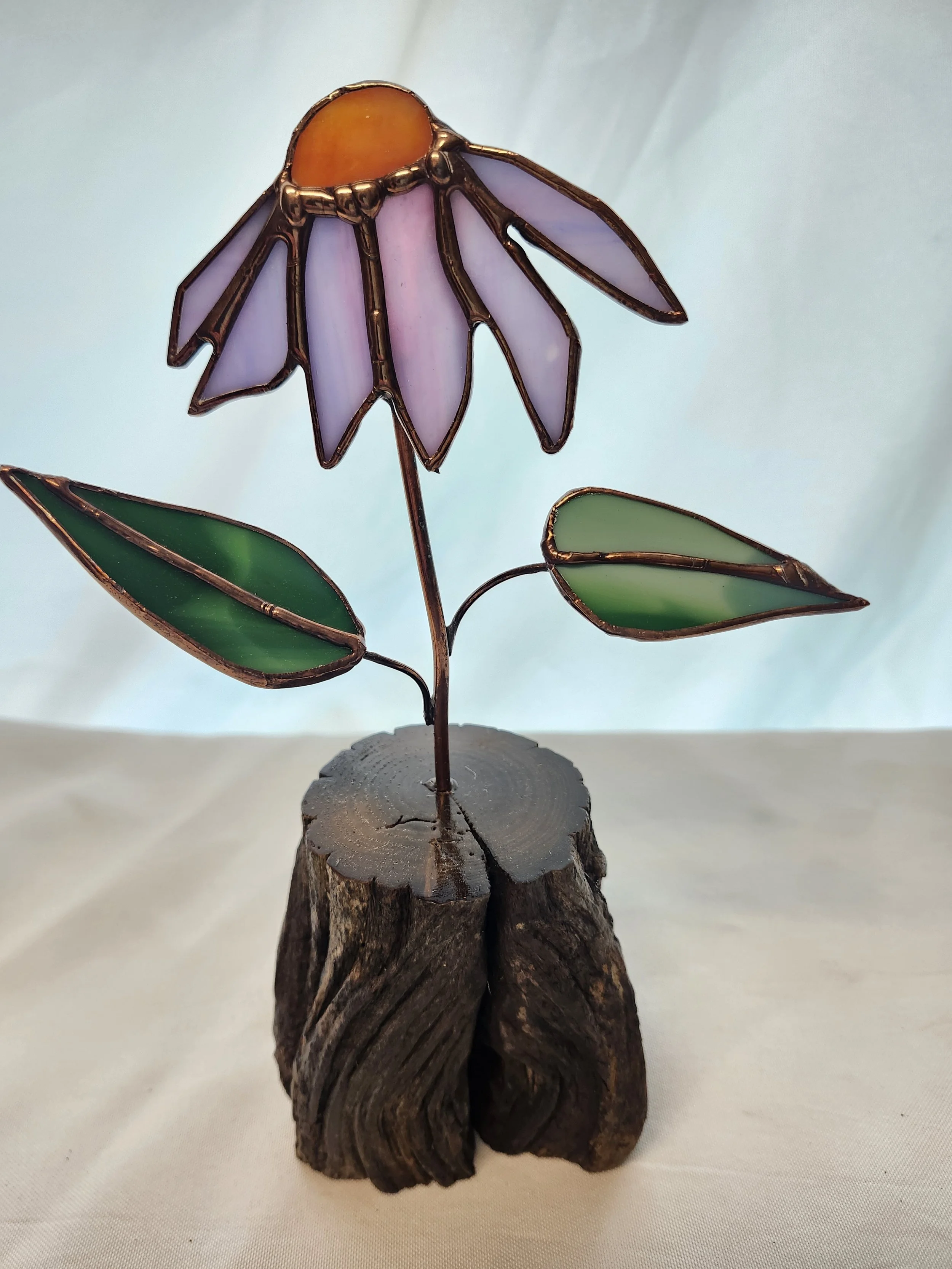 Purple Cone Flower