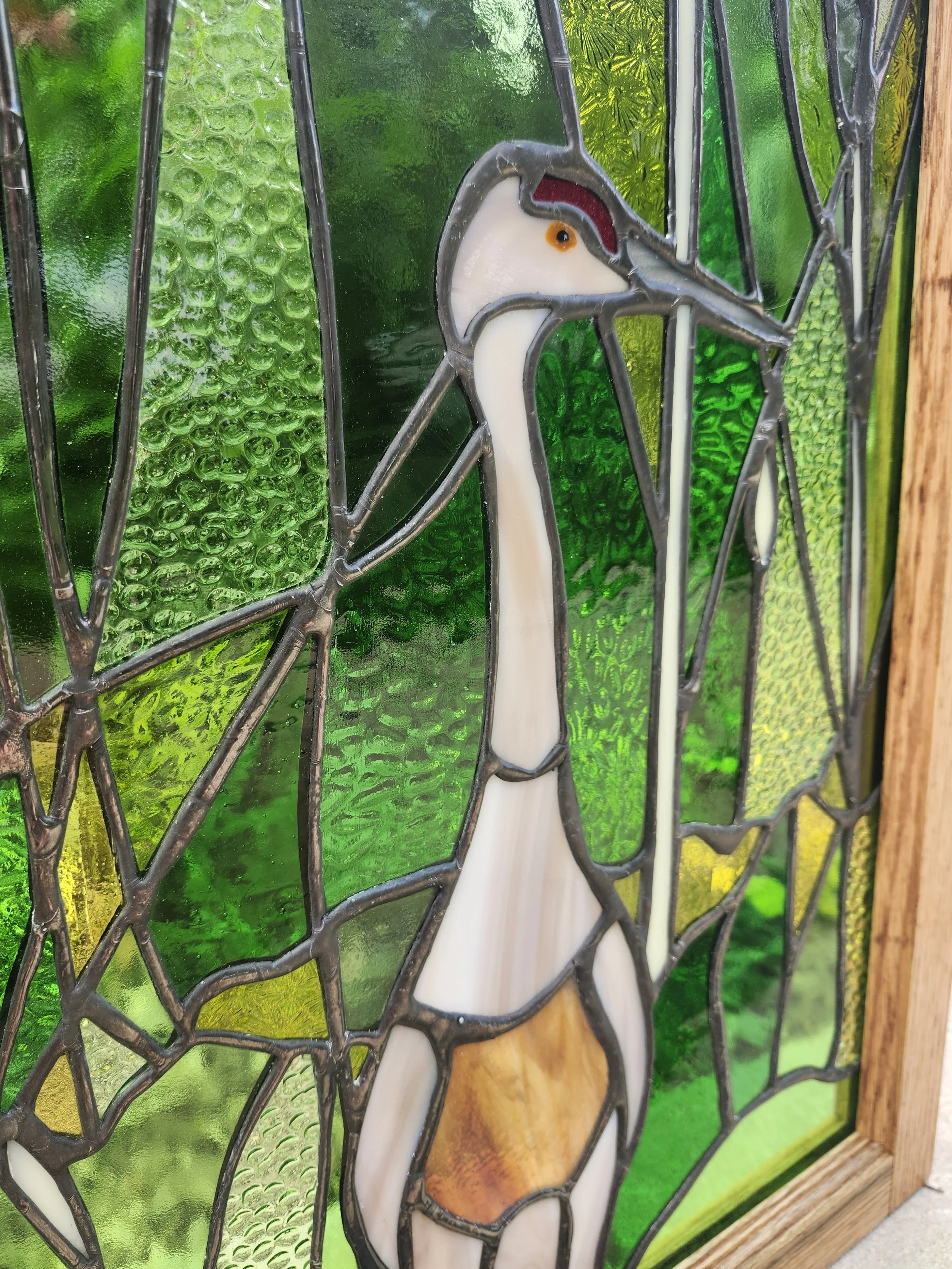 Sand Hill Crane