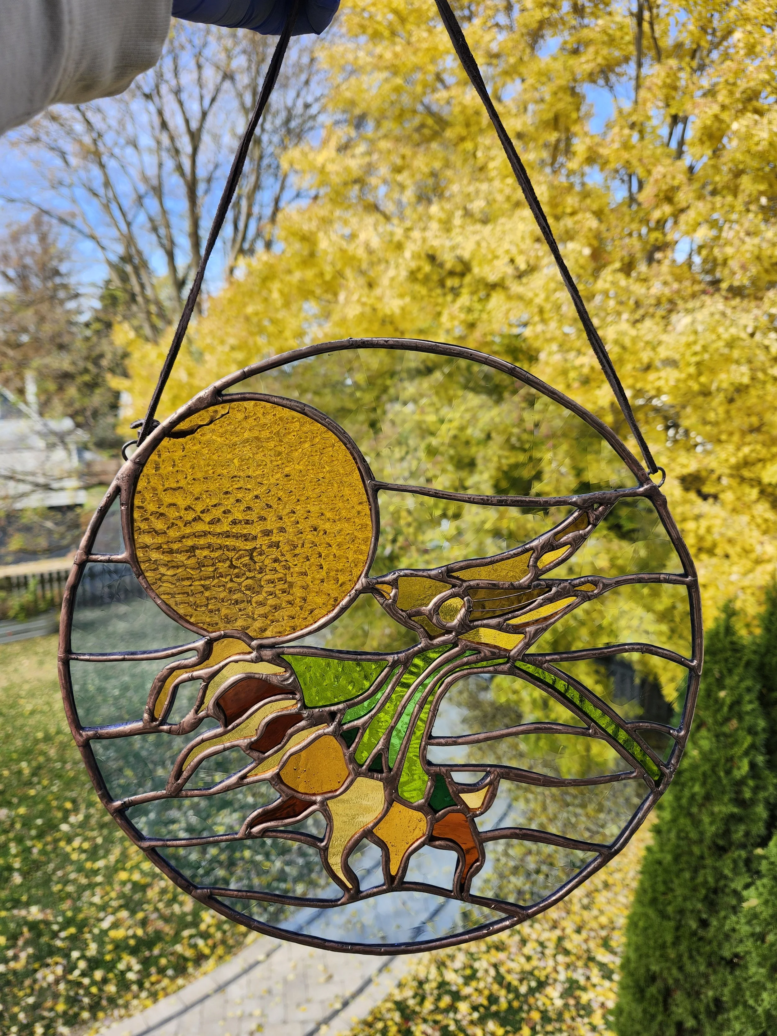 Gold finch on a Sunflower